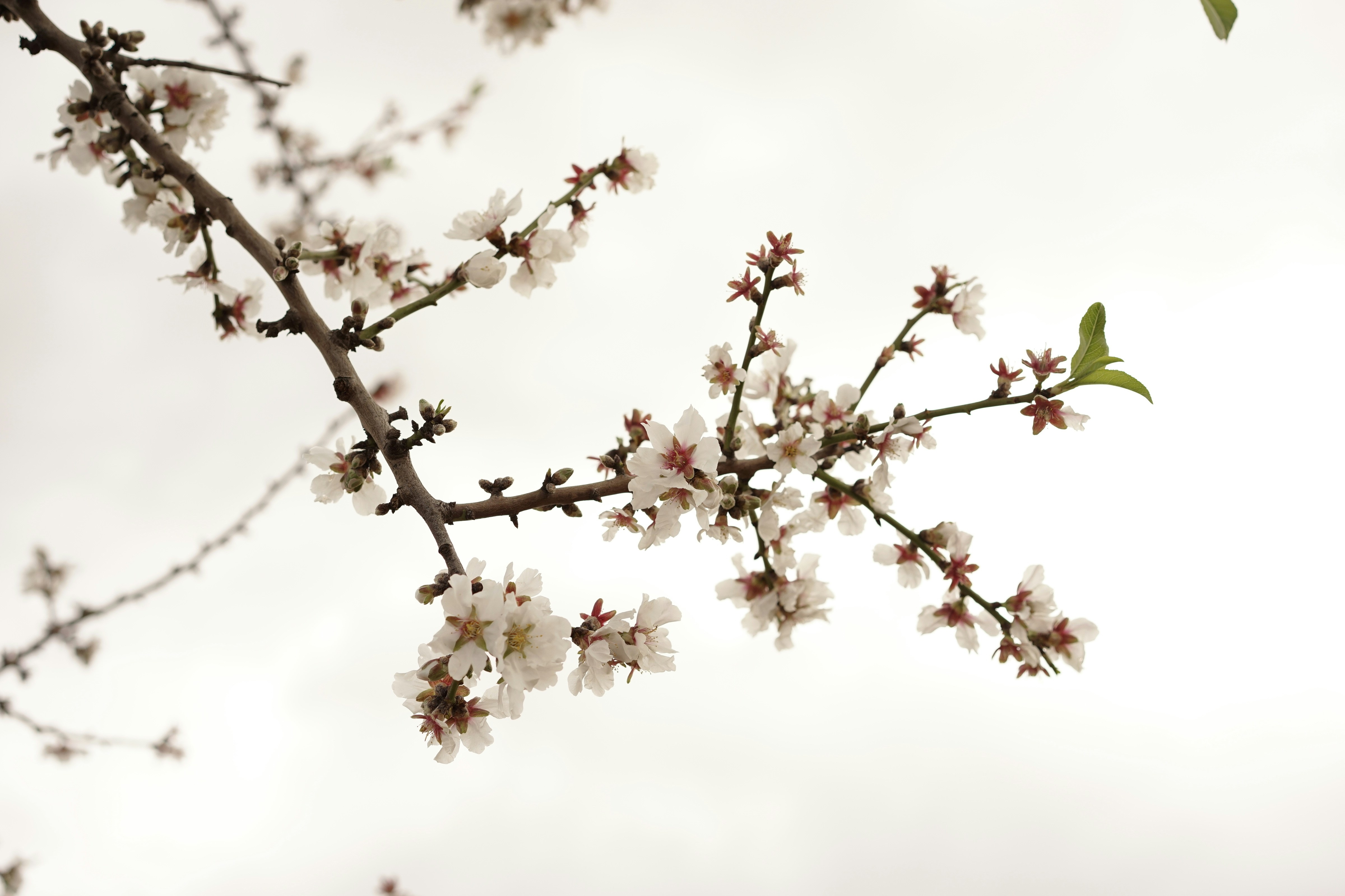 Free Unsplash photo from Oscar Valenzuela