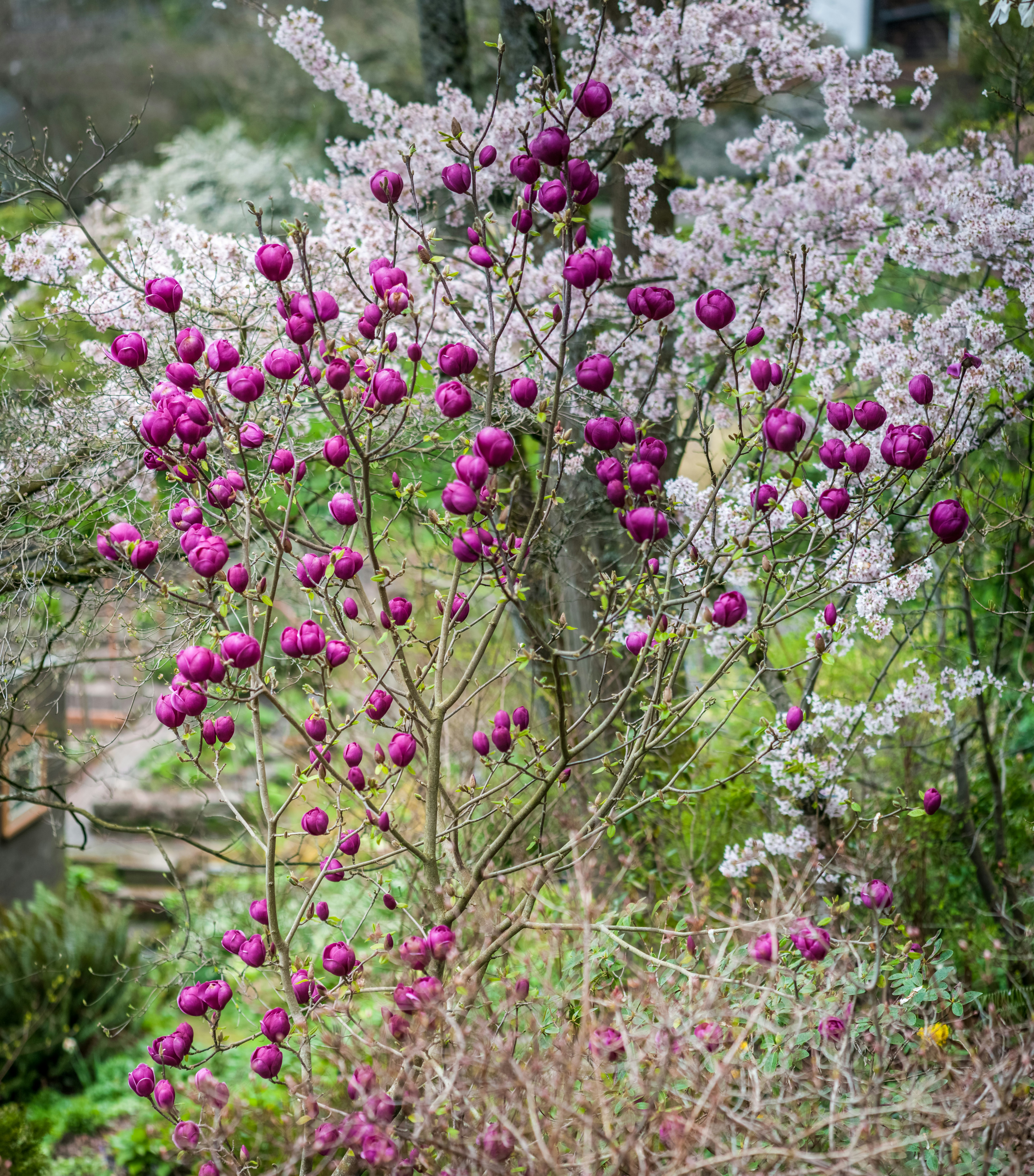 Photo By Sergei Akulich
