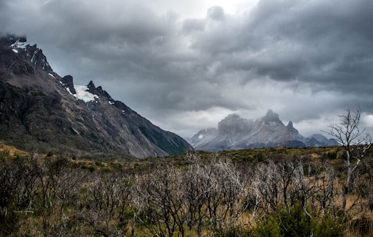 Torres del Paine things to do in Del Toro Lake
