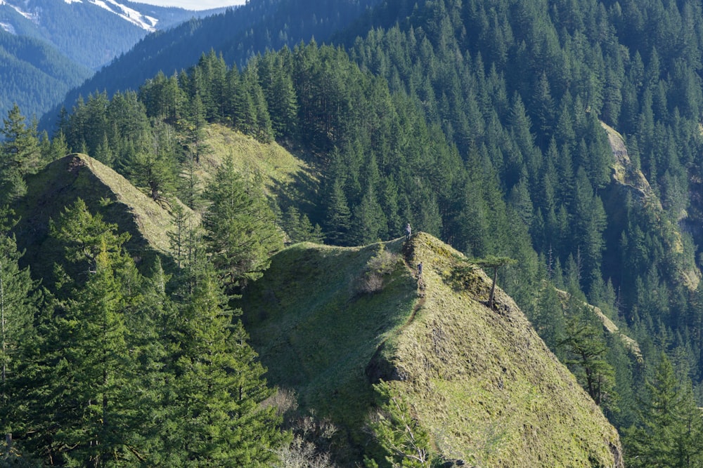 Grüner Berg tagsüber