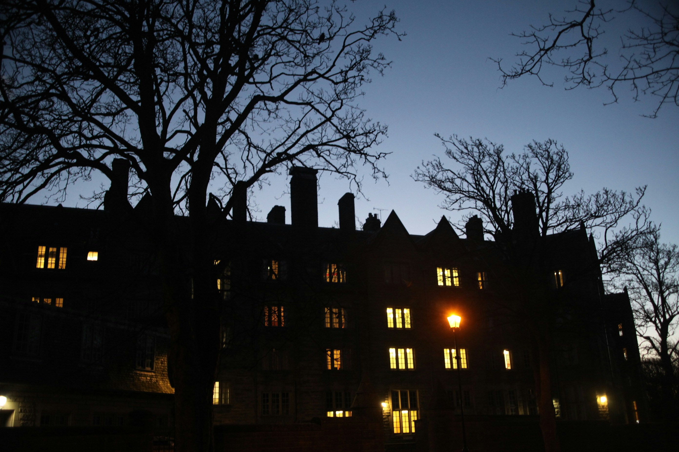 Free Unsplash photo from Gabriela Ovando