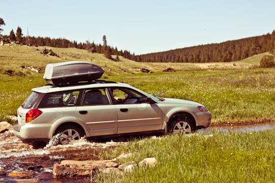 person driving silver SUV on road in open field at dytime in Bighorn Mountains United States