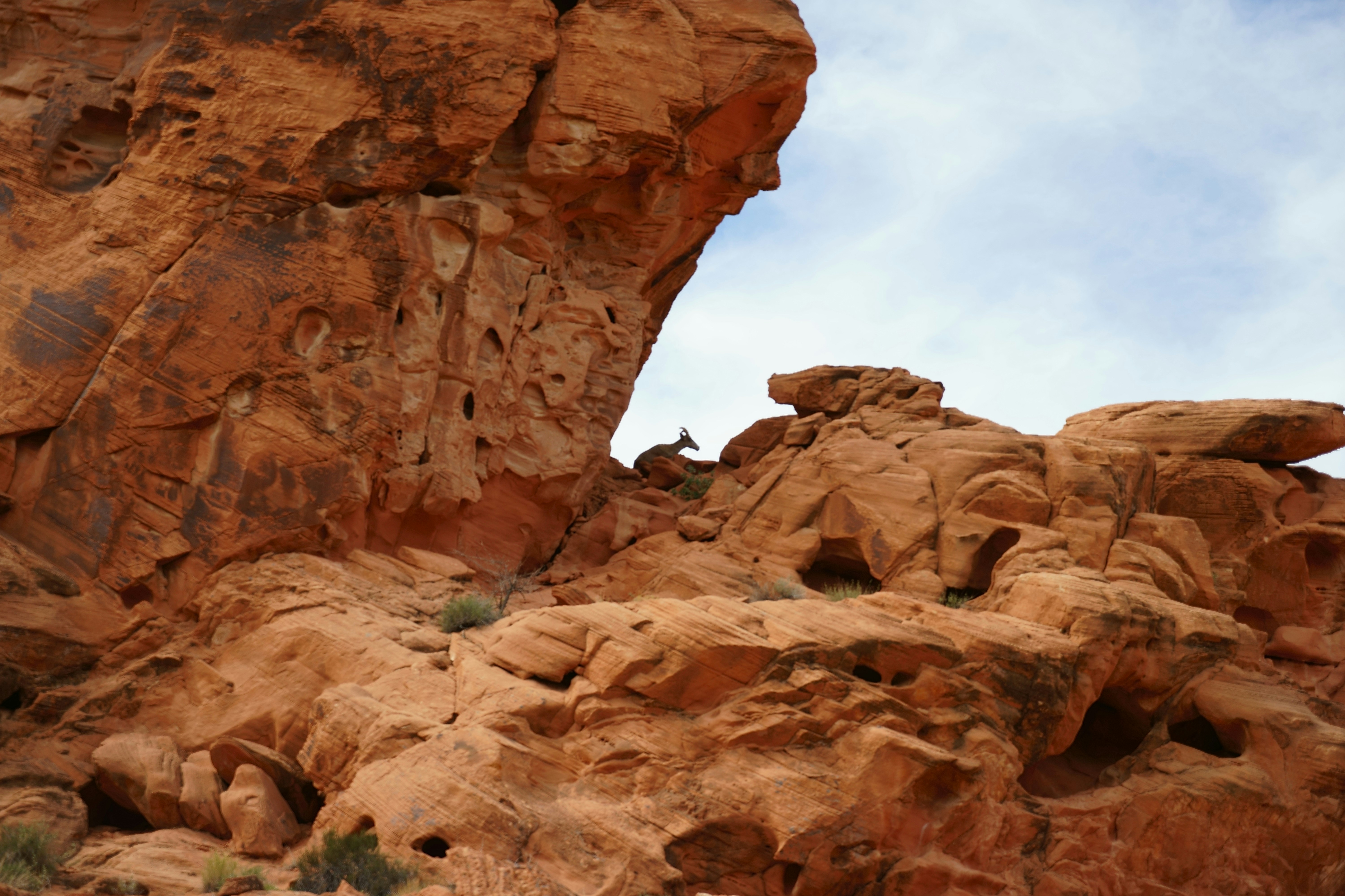 Free Unsplash photo from Andy Wang