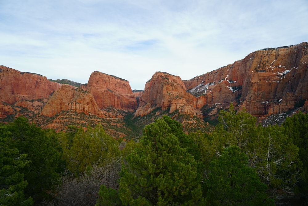 brown mountains near tress at daytime