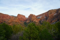 Majestic red rock cliffs rise prominently in the background, with a rich green forest spread across the foreground. The cliffs appear weathered, displaying layers of sandstone with occasional dustings of snow.