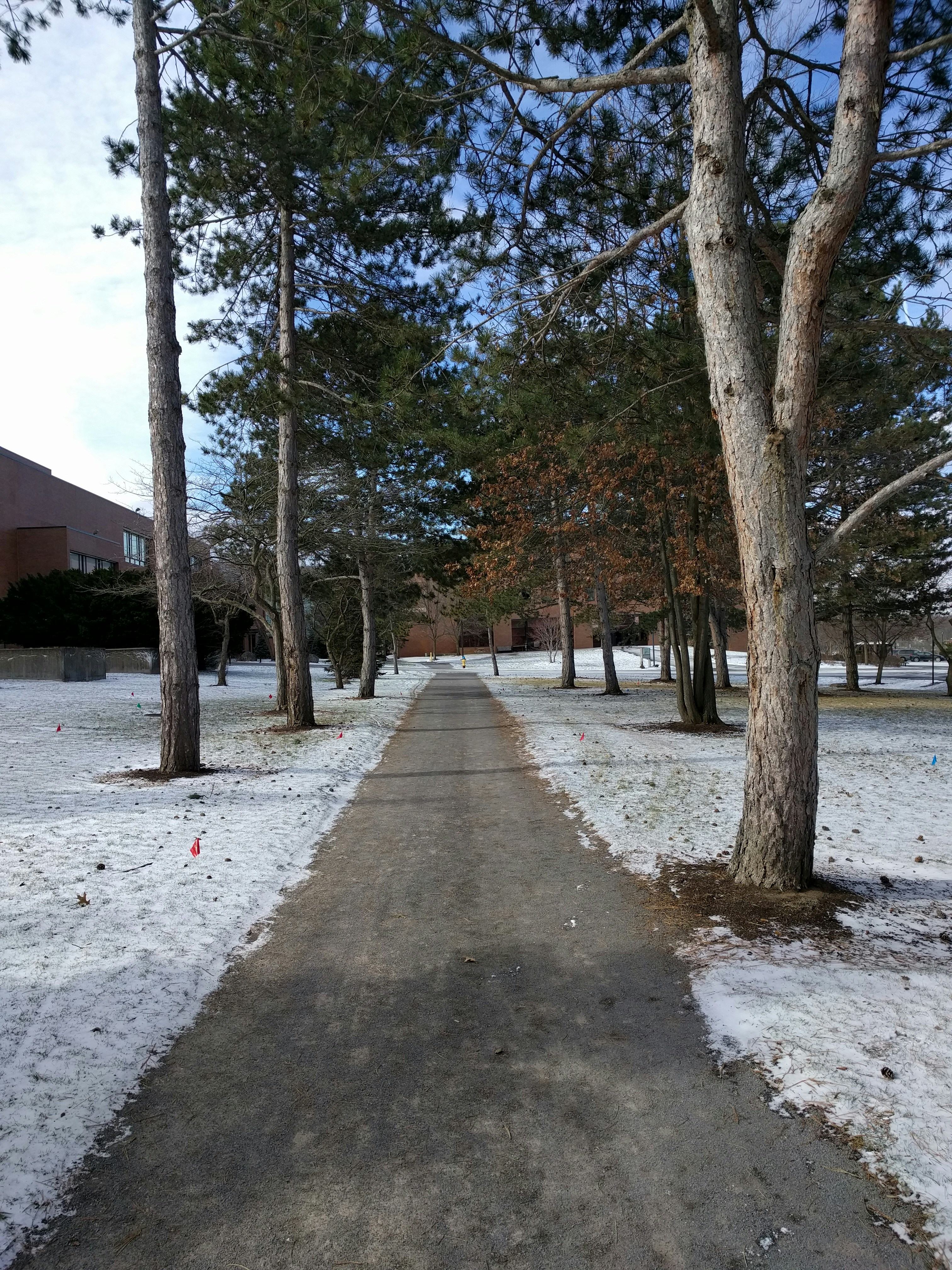 Free Unsplash photo from Saish Menon