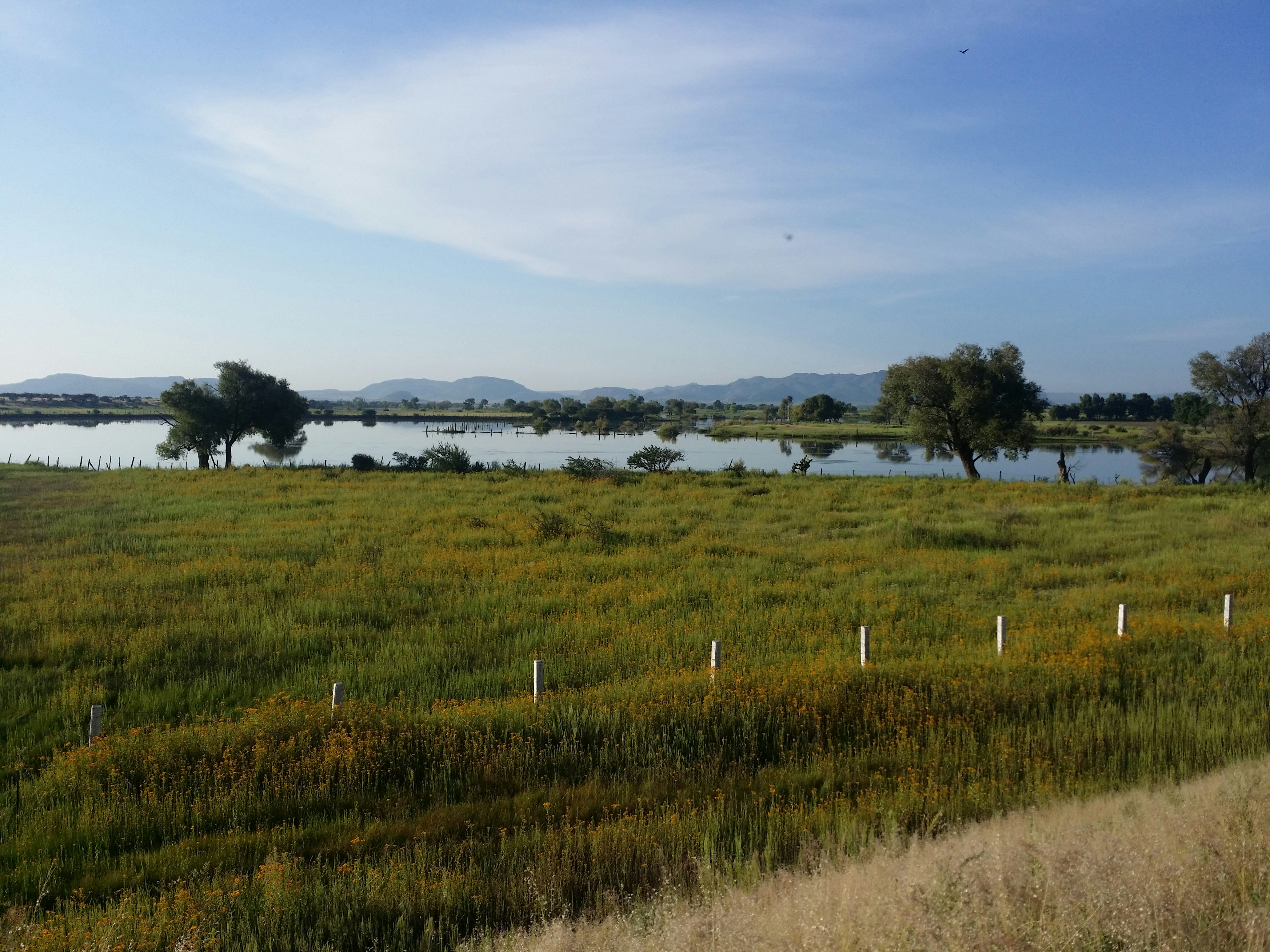 Free Unsplash photo from Jose Casillas