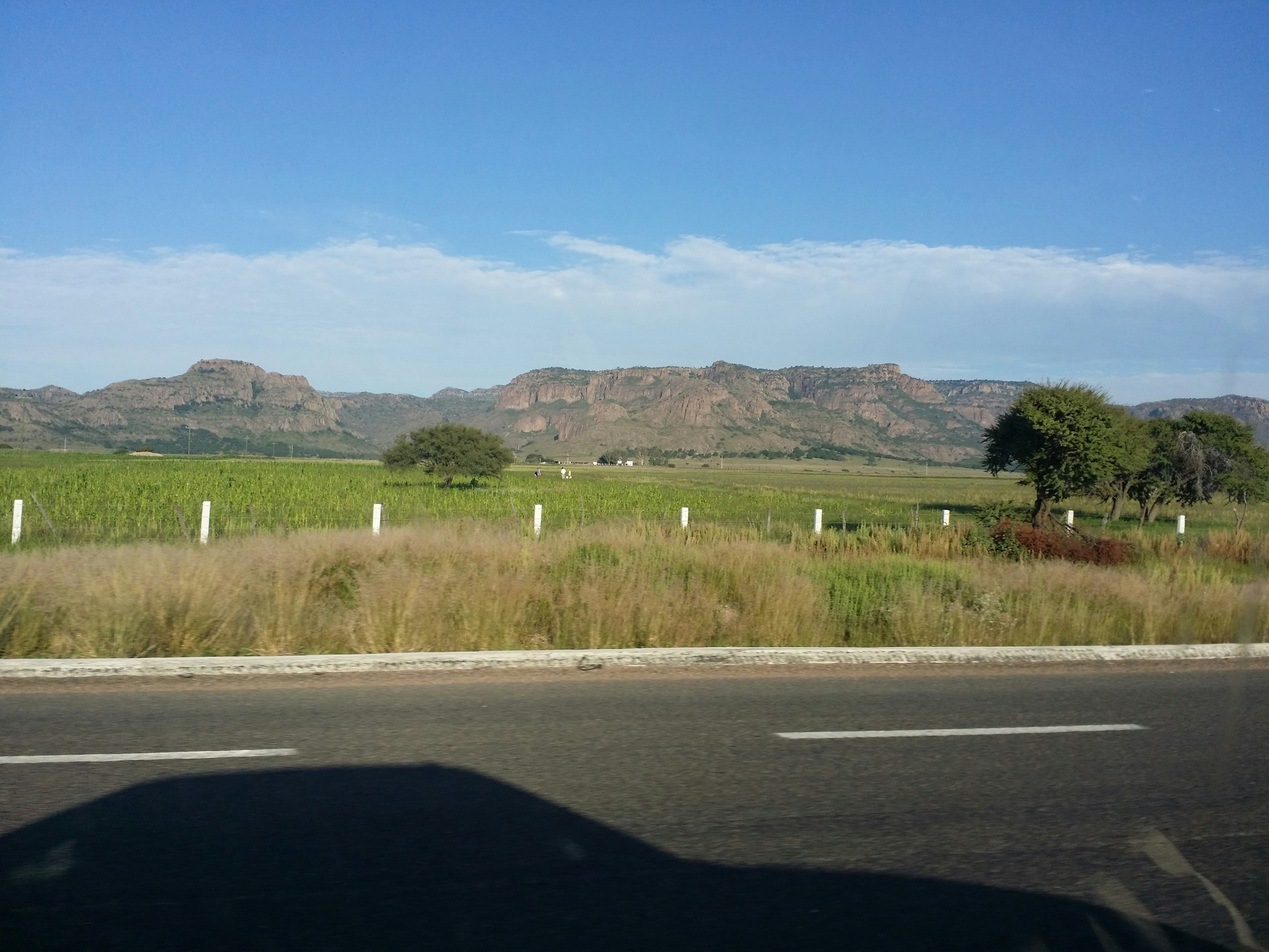 Free Unsplash photo from Jose Casillas