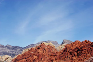 Close-up of hands exchanging business cards with a backdrop of the red sandstone landscape.