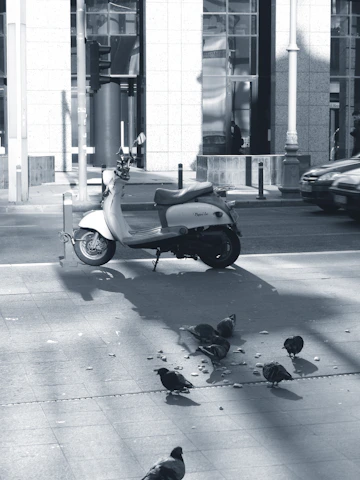 A scooter is parked on a city street next to a sidewalk where several pigeons are pecking at scattered pieces of food. Shadows are cast on the ground, and there are buildings in the background with large glass windows.