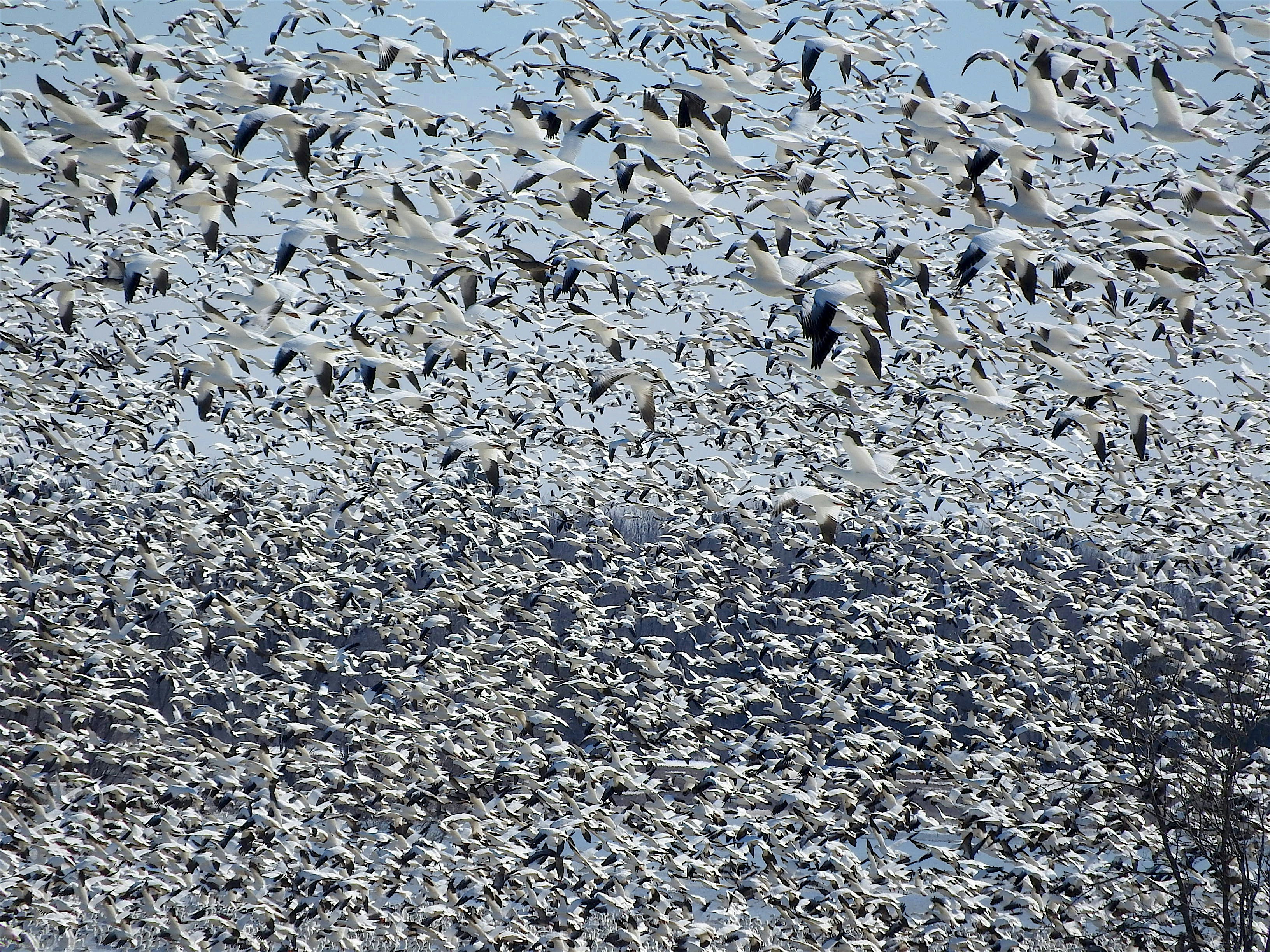 Free Unsplash photo from Bree Tucker