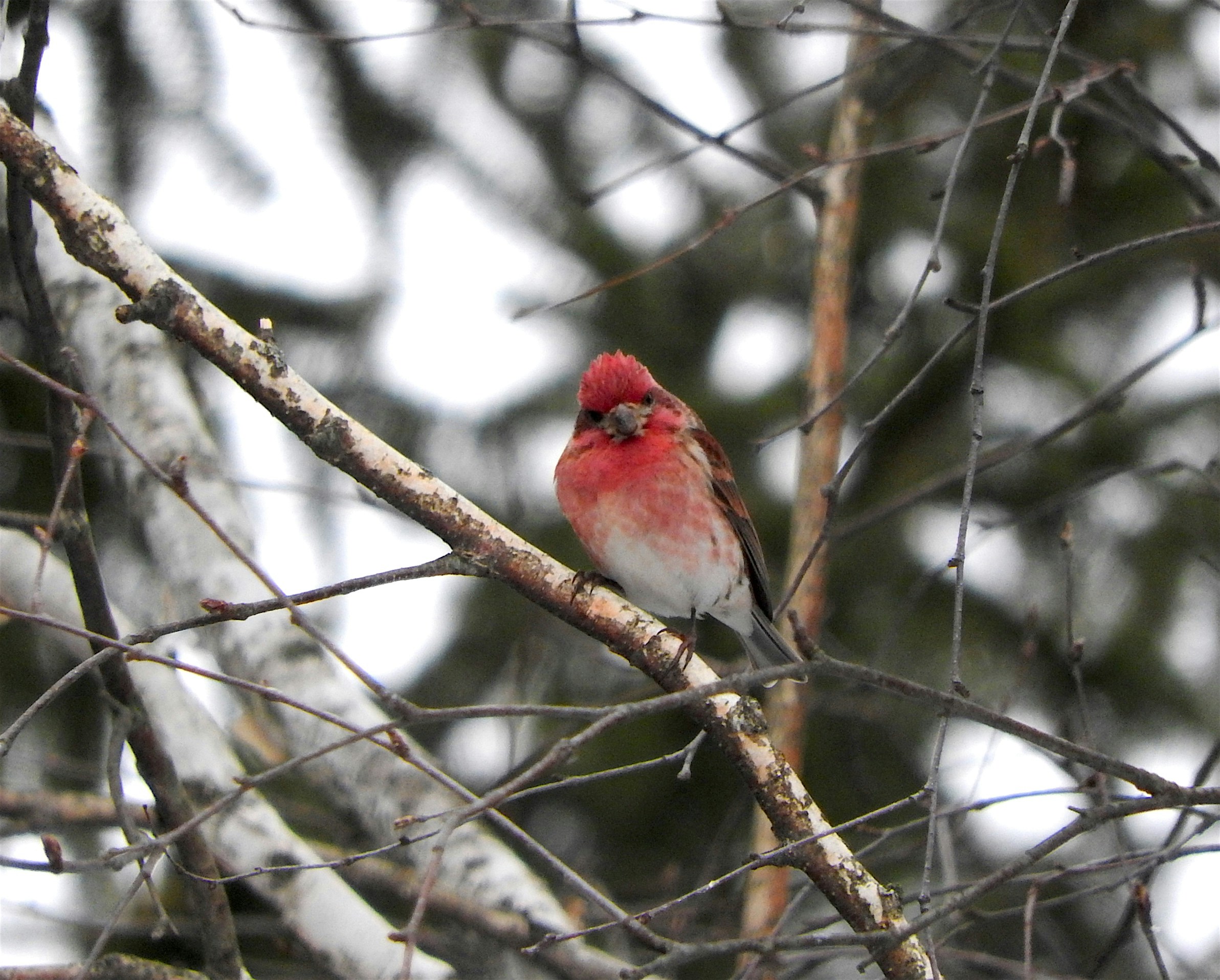 Free Unsplash photo from Bree Tucker