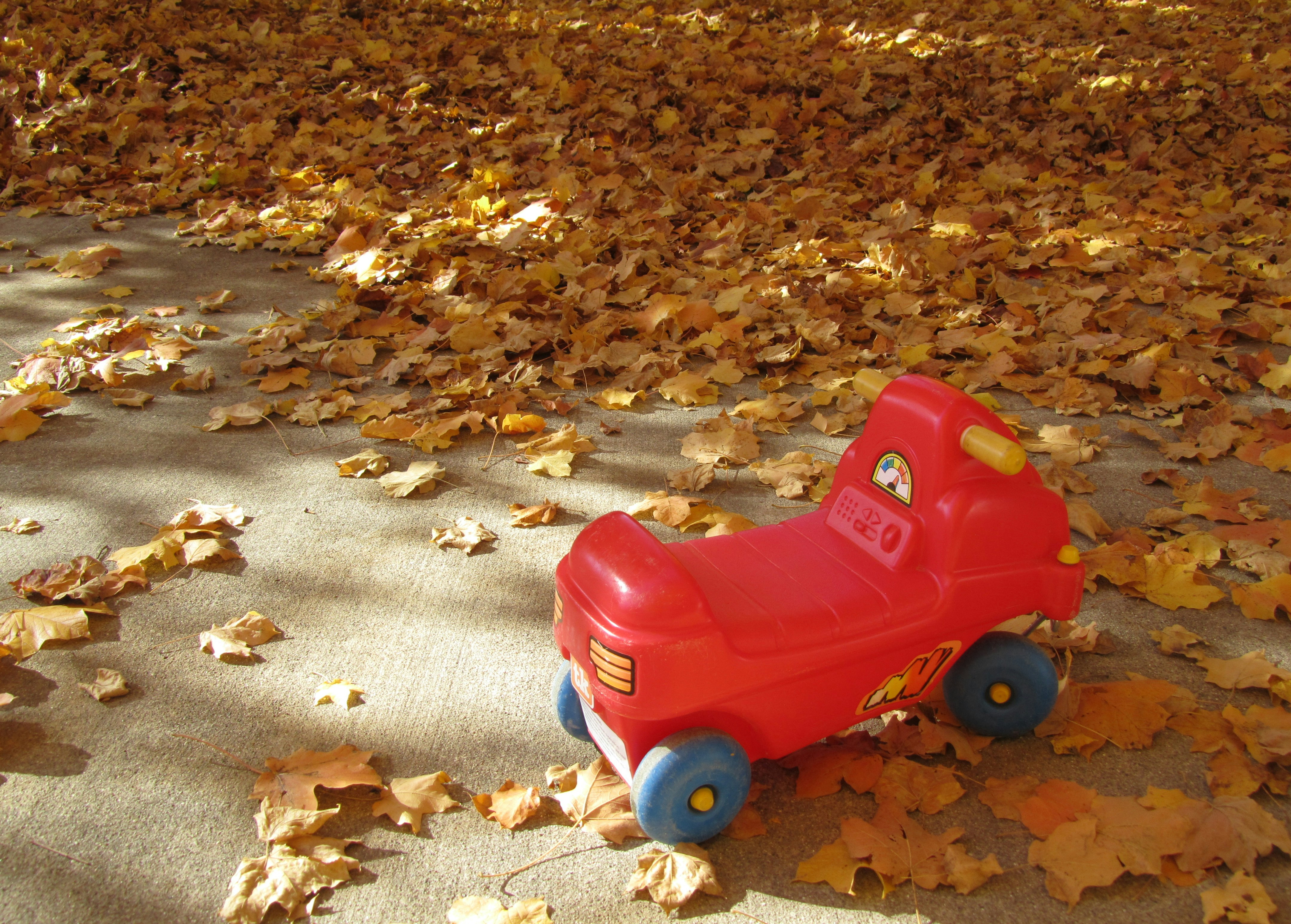 Free Unsplash photo from Jason Bass