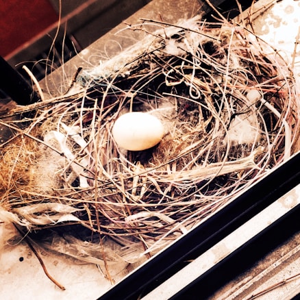 A bird's nest made of twigs and other natural materials, housing a single egg. The nest is intricately woven with various fibers and sits on top of a metallic or concrete surface.