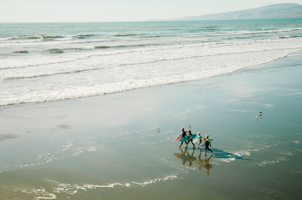 people carrying surfboards walking along seashore