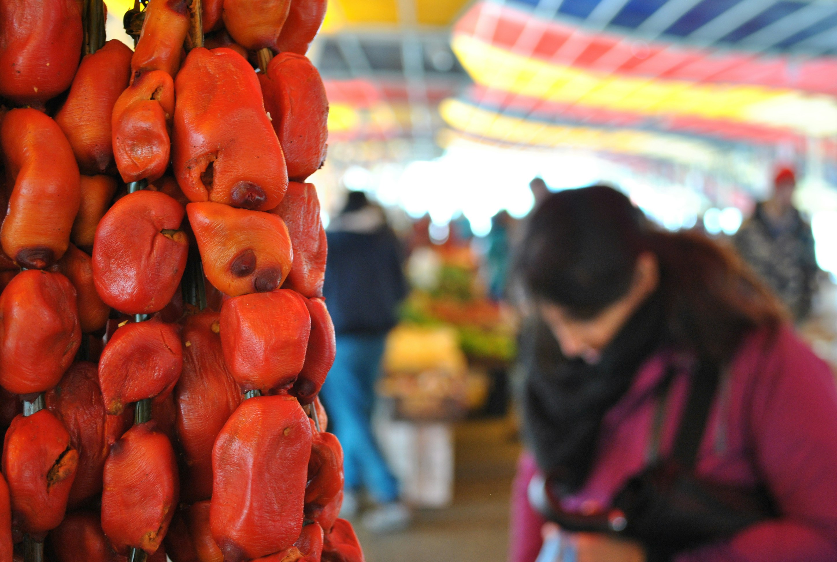 Free Unsplash photo from Sebastian Vega