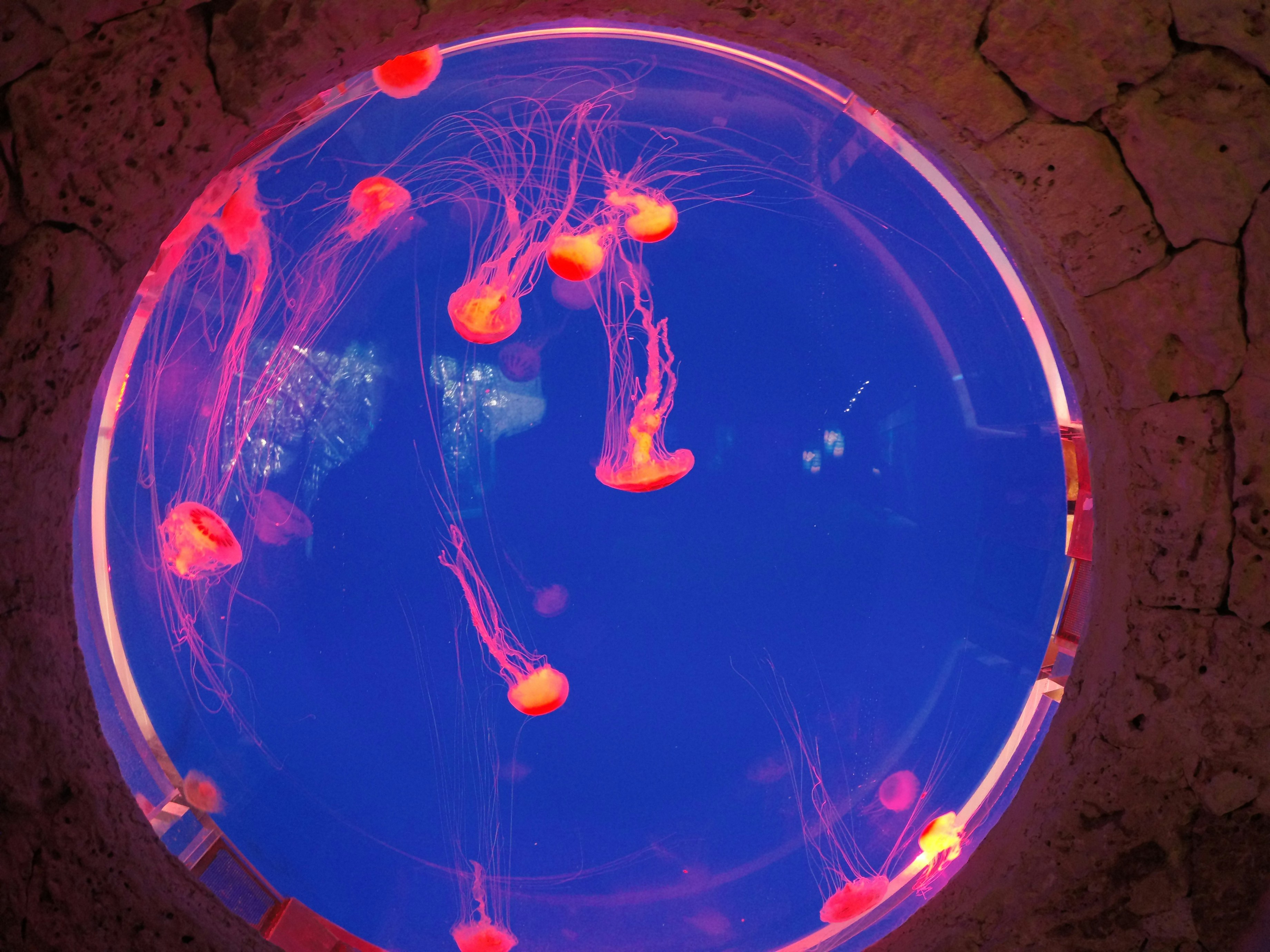 Free Unsplash photo from Sebastian Vega