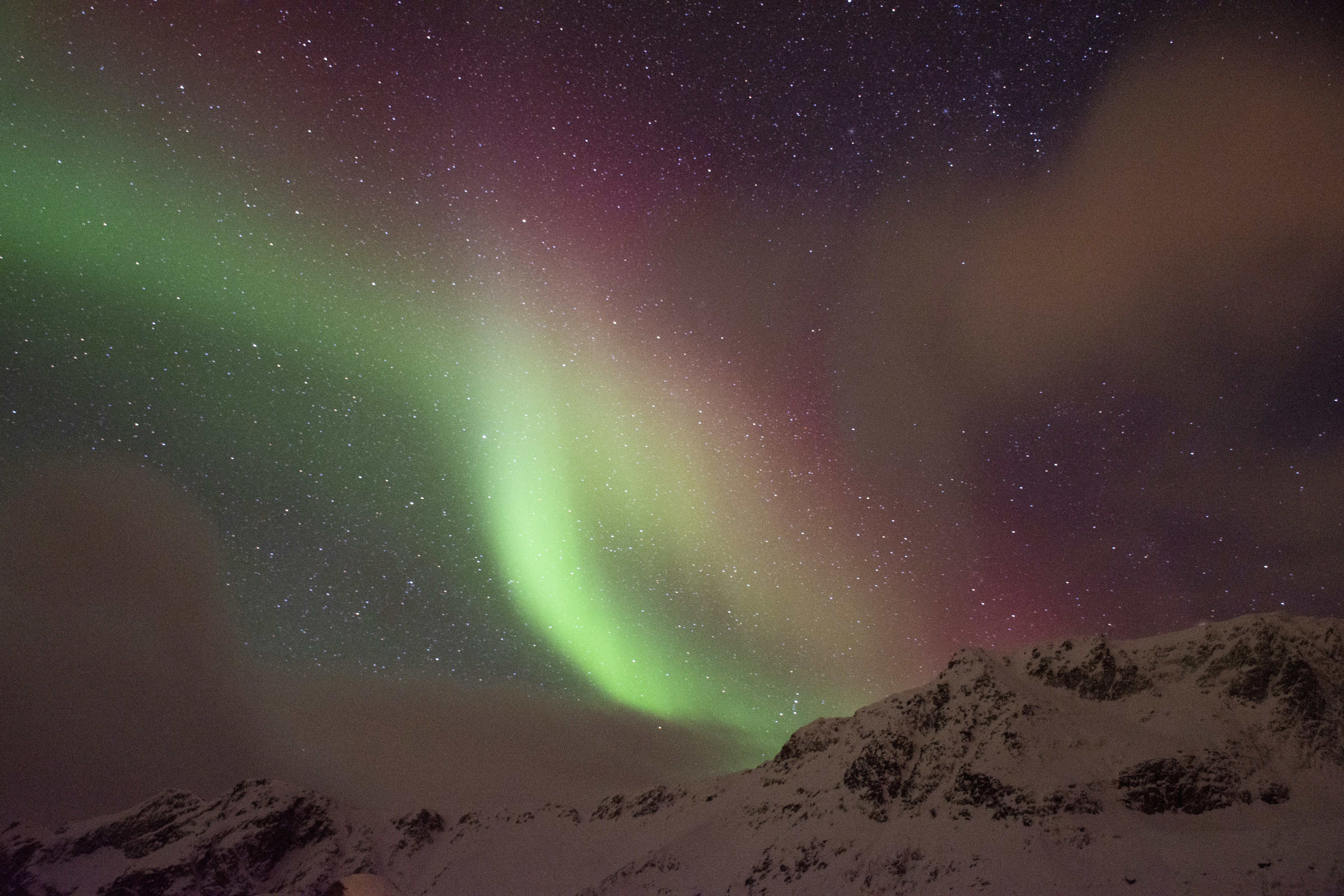 Free Unsplash photo from Adithya Ananth