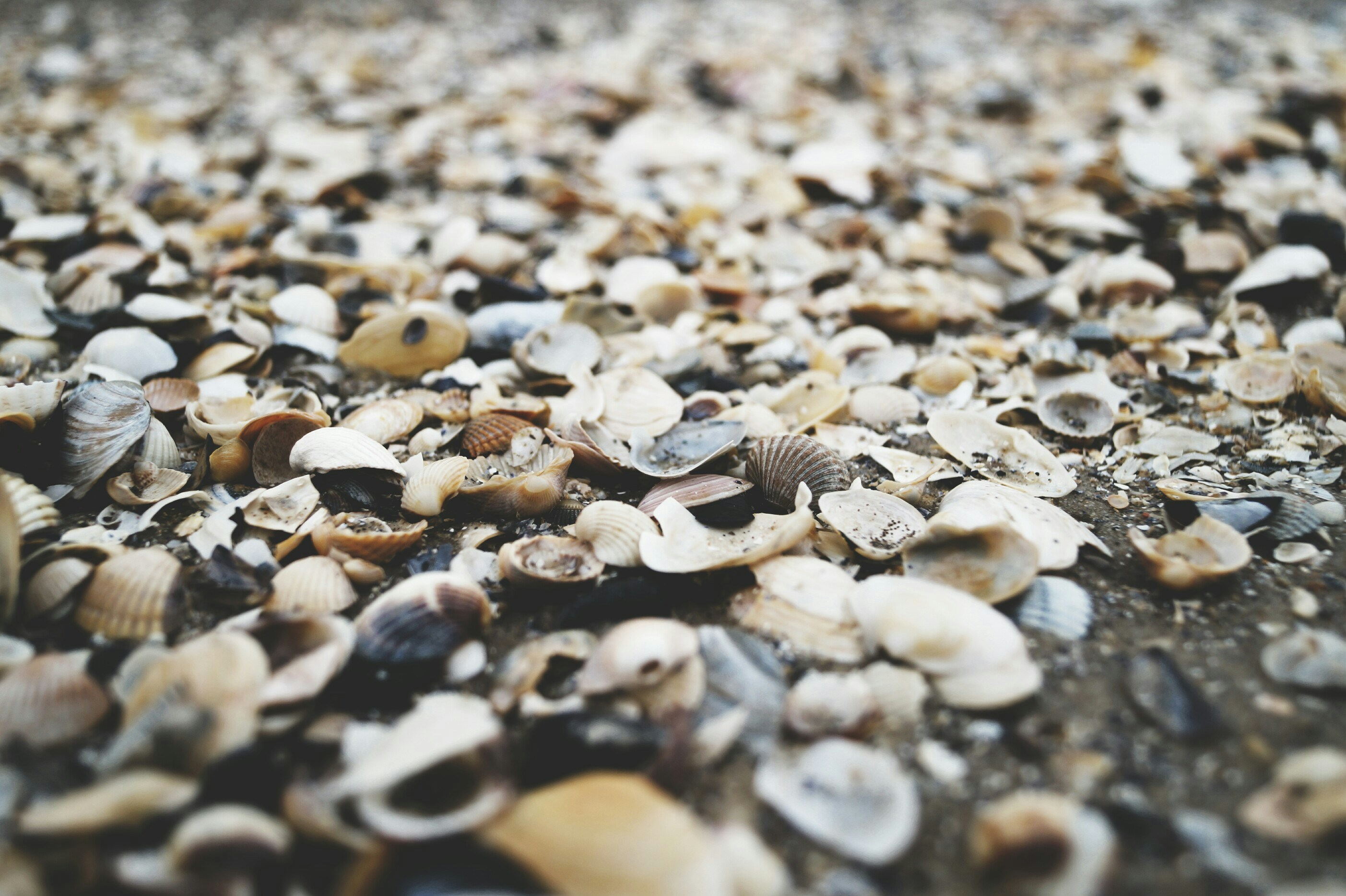 Free Unsplash photo from Lina Sauer