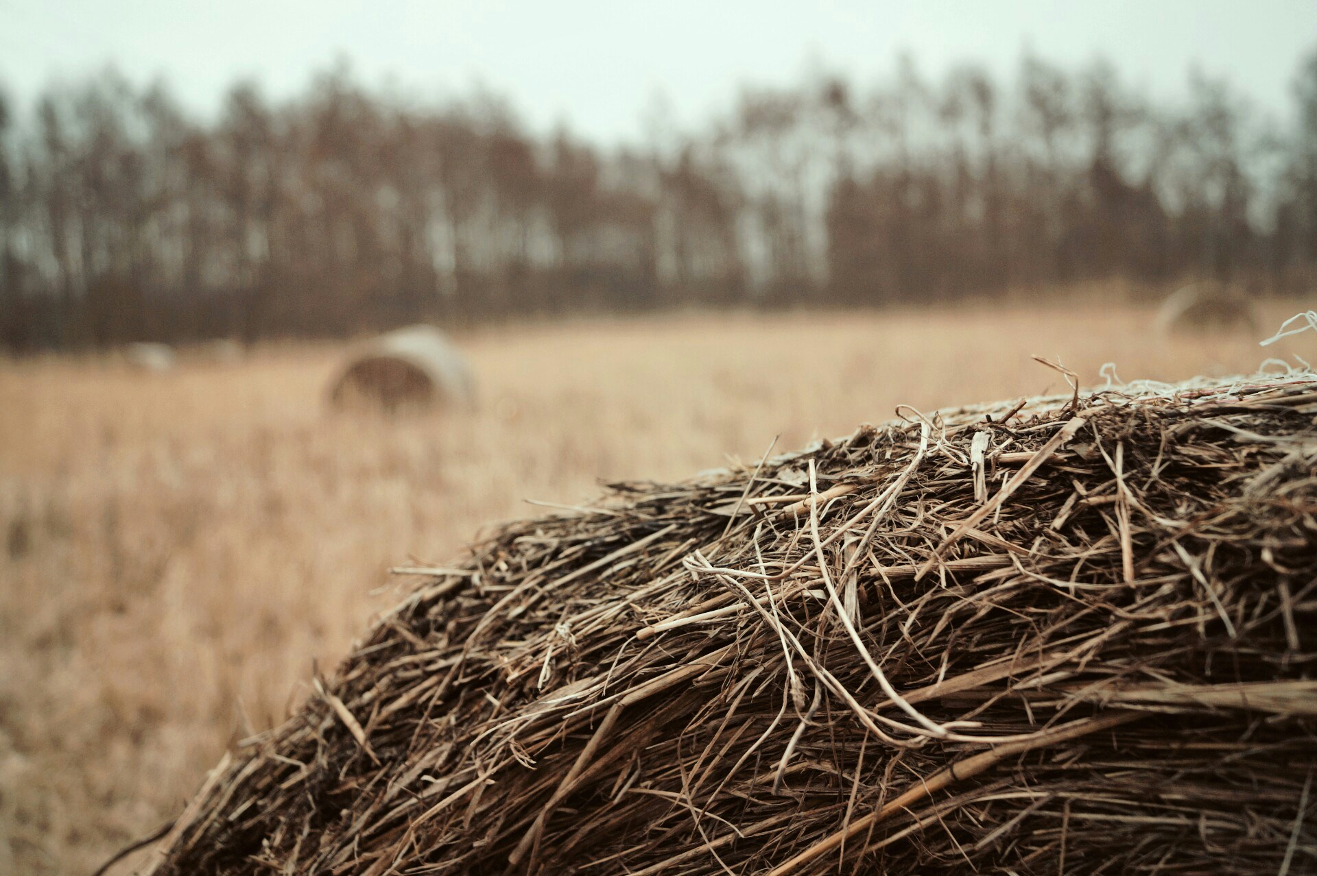 Free Unsplash photo from Lina Sauer