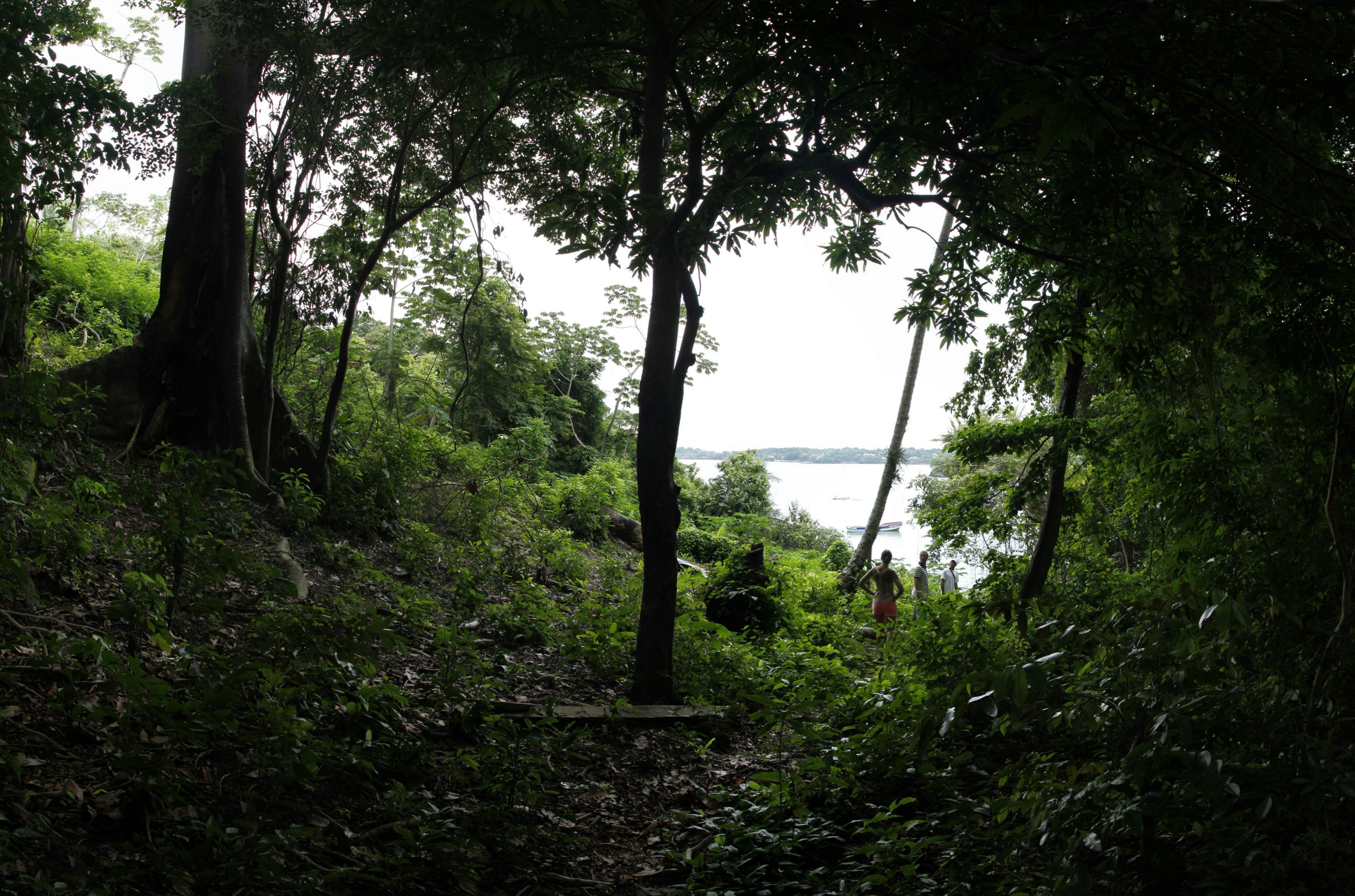 Photo By Rowan Heuvel