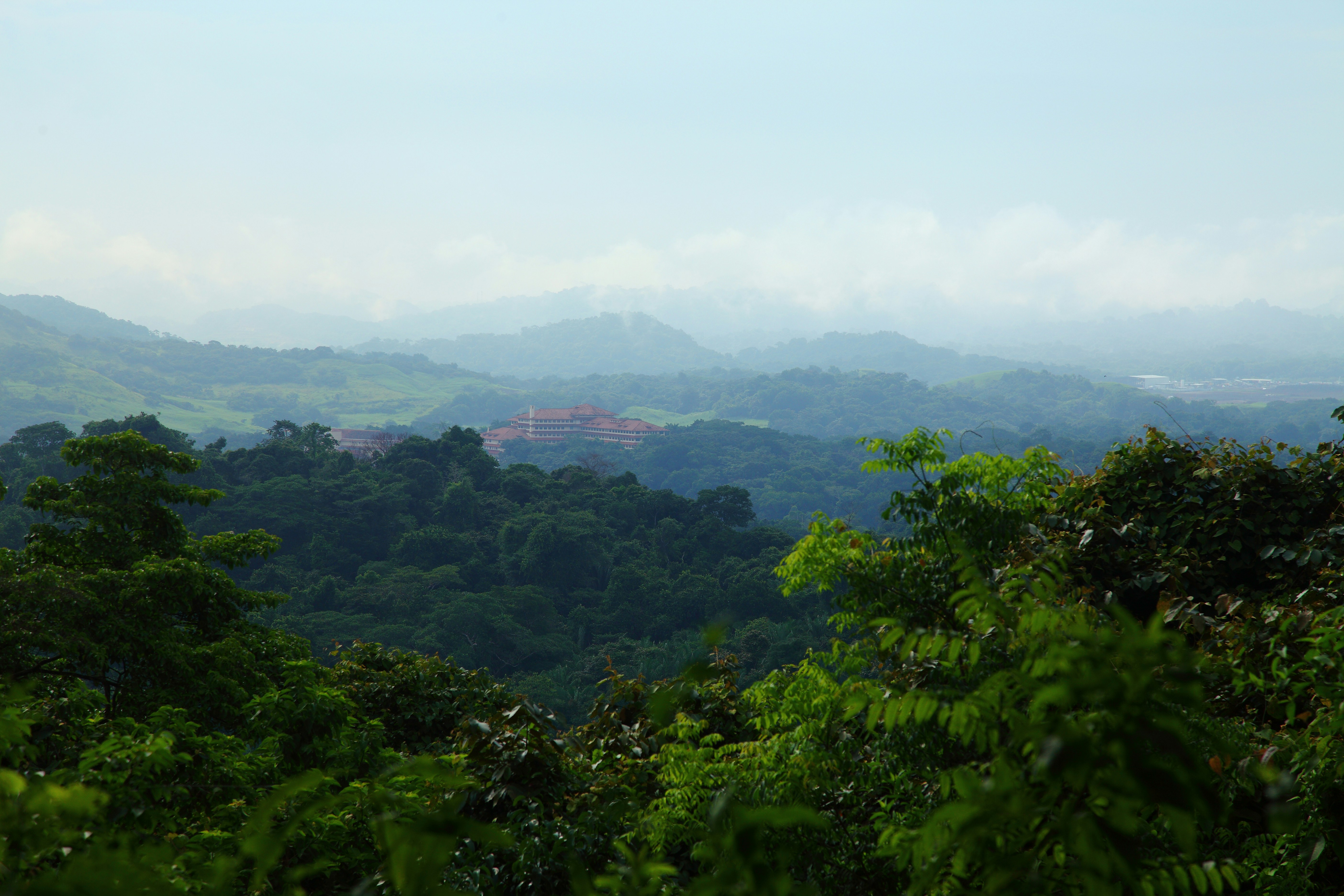 Photo By Rowan Heuvel