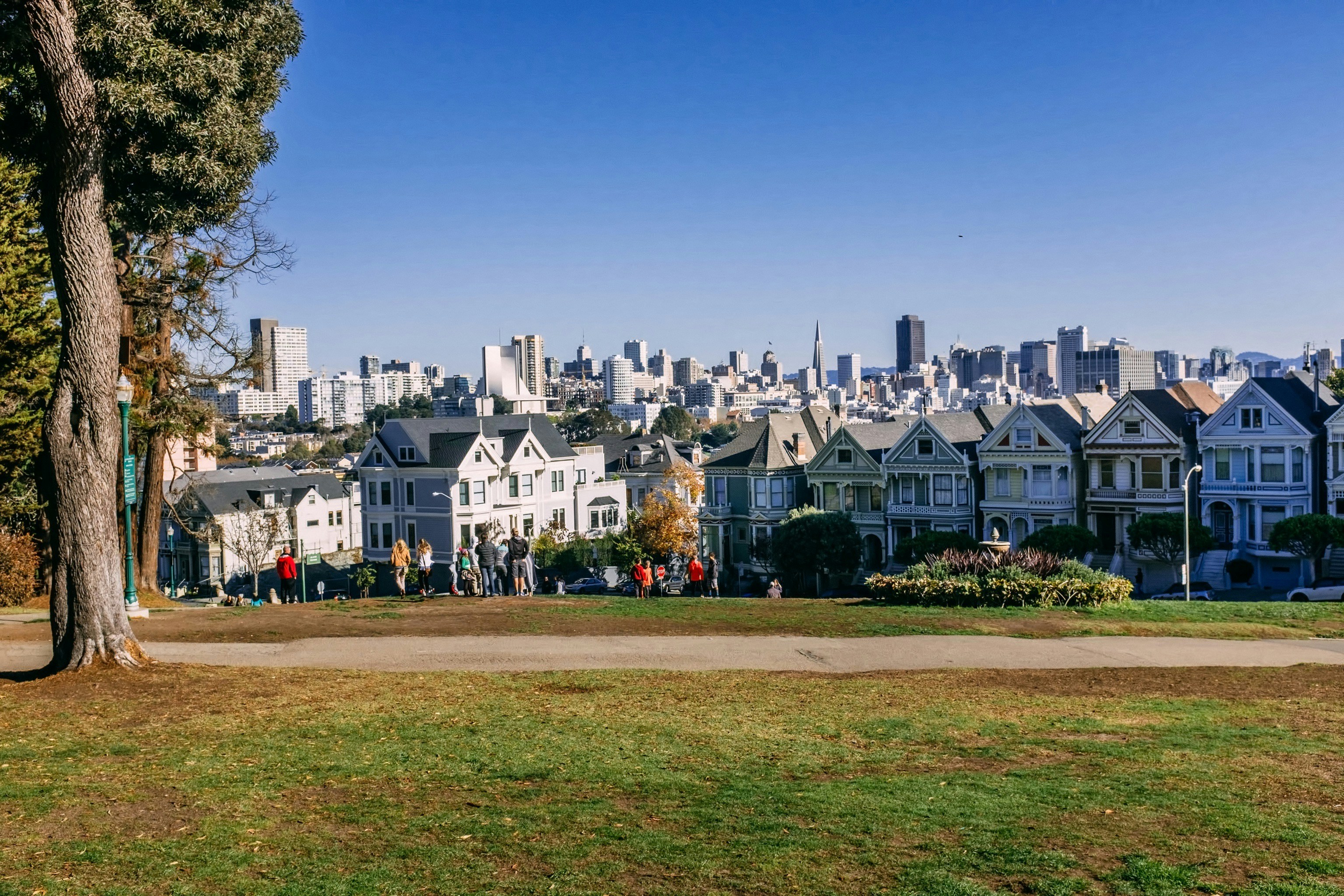 white and gray concrete building near green trees under blue sky during daytime, 