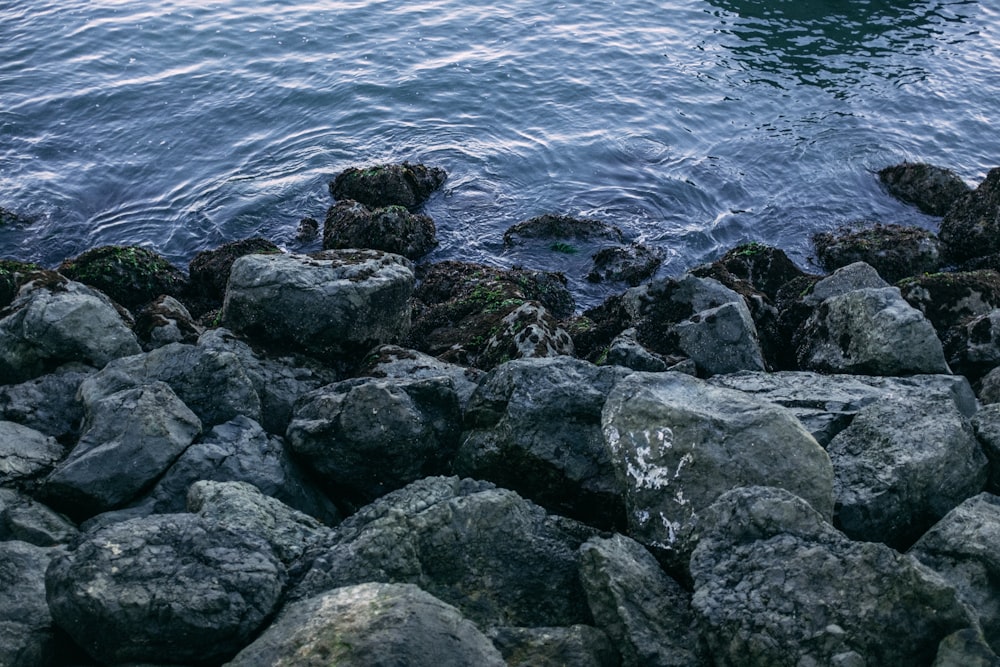 roches grises sur le plan d’eau pendant la journée