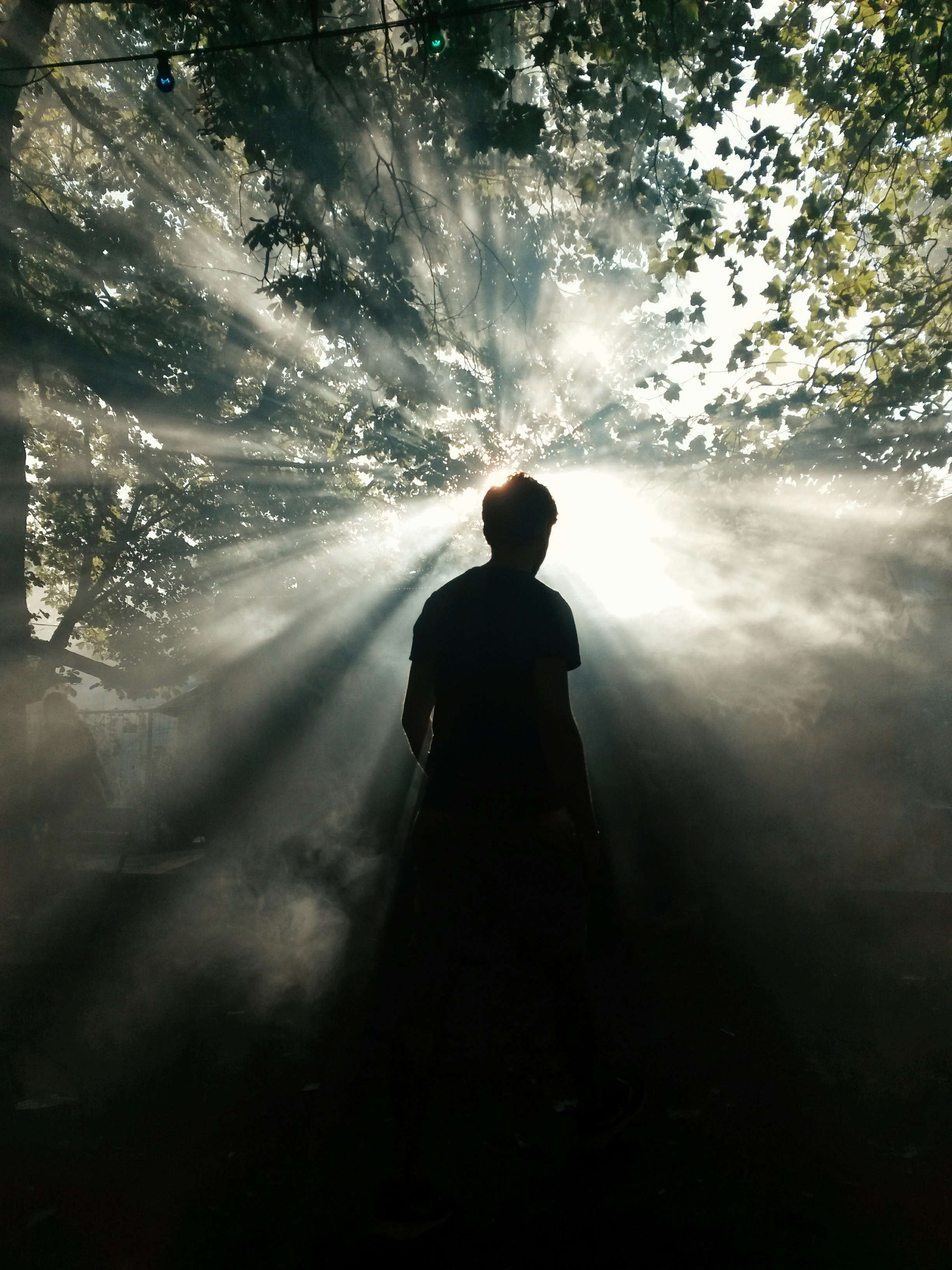 Free Unsplash photo from Tomasi Modini