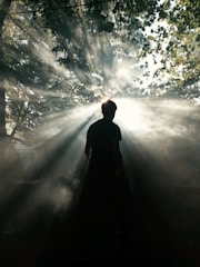 A person stands silhouetted against bright sunlight streaming through the leaves of trees. Dramatic rays of light create a mystical atmosphere as they pierce the surrounding mist. The scene conveys a sense of awe and connection with nature.