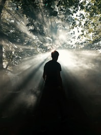 A person stands silhouetted against bright sunlight streaming through the leaves of trees. Dramatic rays of light create a mystical atmosphere as they pierce the surrounding mist. The scene conveys a sense of awe and connection with nature.