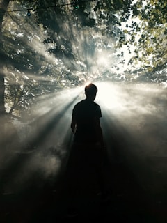 A person stands silhouetted against bright sunlight streaming through the leaves of trees. Dramatic rays of light create a mystical atmosphere as they pierce the surrounding mist. The scene conveys a sense of awe and connection with nature.