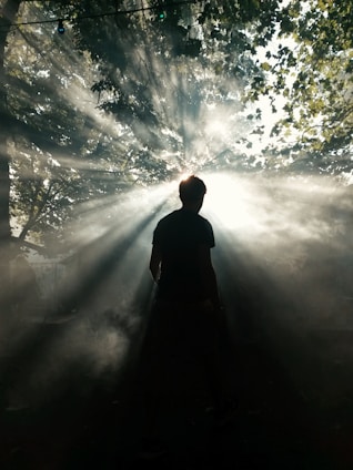 A person stands silhouetted against bright sunlight streaming through the leaves of trees. Dramatic rays of light create a mystical atmosphere as they pierce the surrounding mist. The scene conveys a sense of awe and connection with nature.