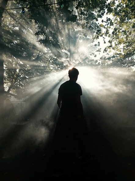 A person stands silhouetted against bright sunlight streaming through the leaves of trees. Dramatic rays of light create a mystical atmosphere as they pierce the surrounding mist. The scene conveys a sense of awe and connection with nature.
