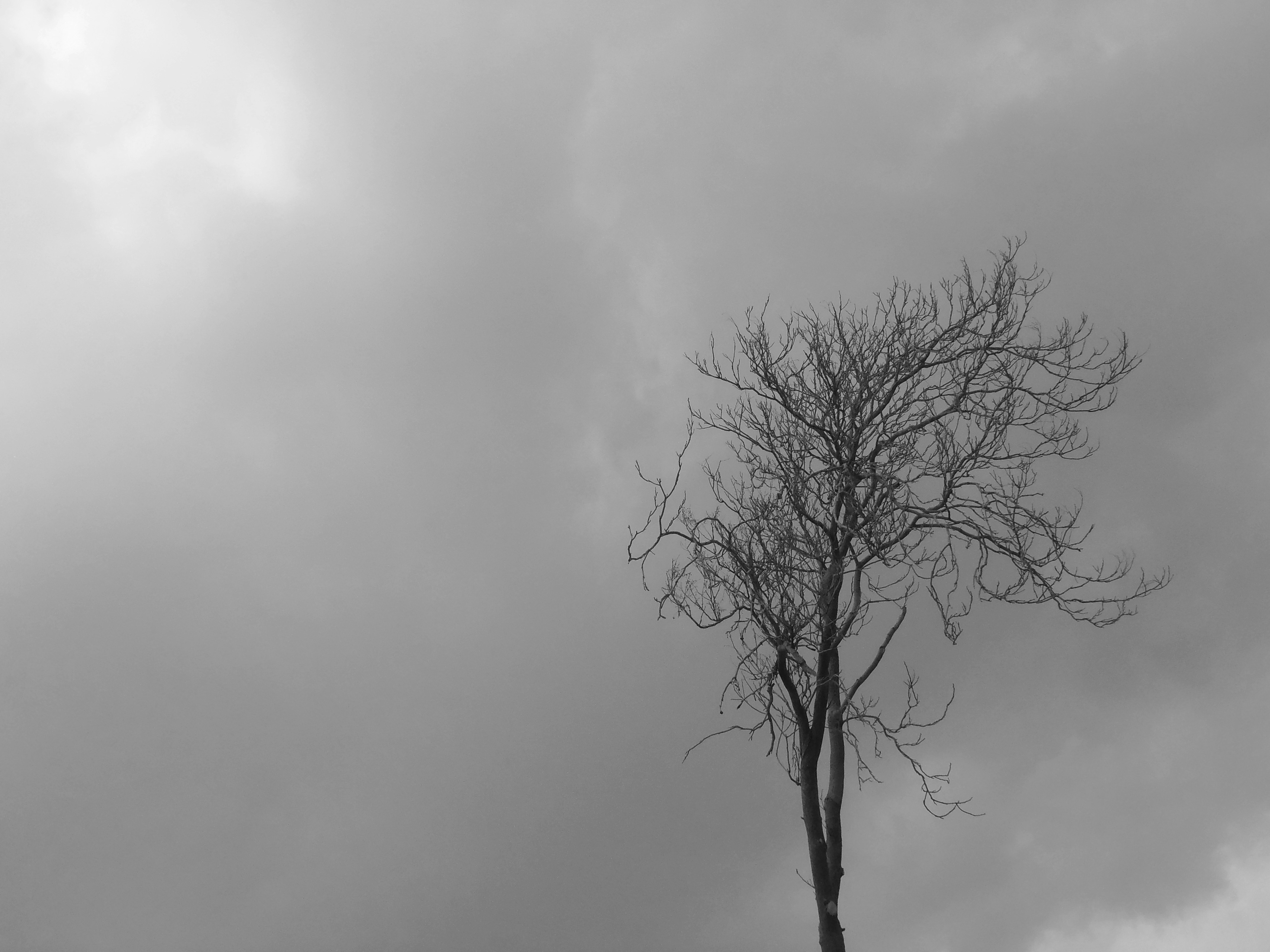 Free Unsplash photo from Amir Mobasheri