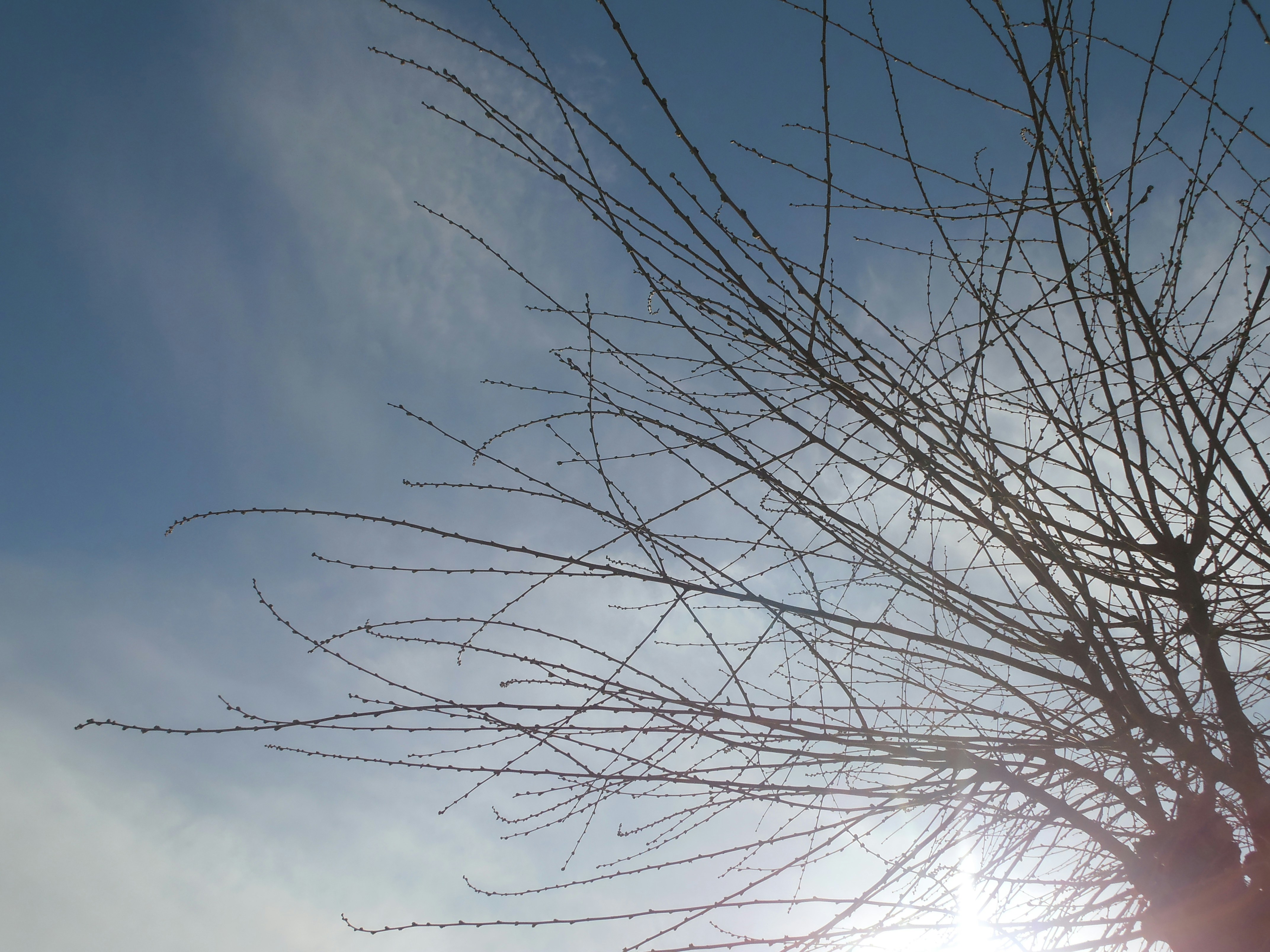 Free Unsplash photo from Amir Mobasheri