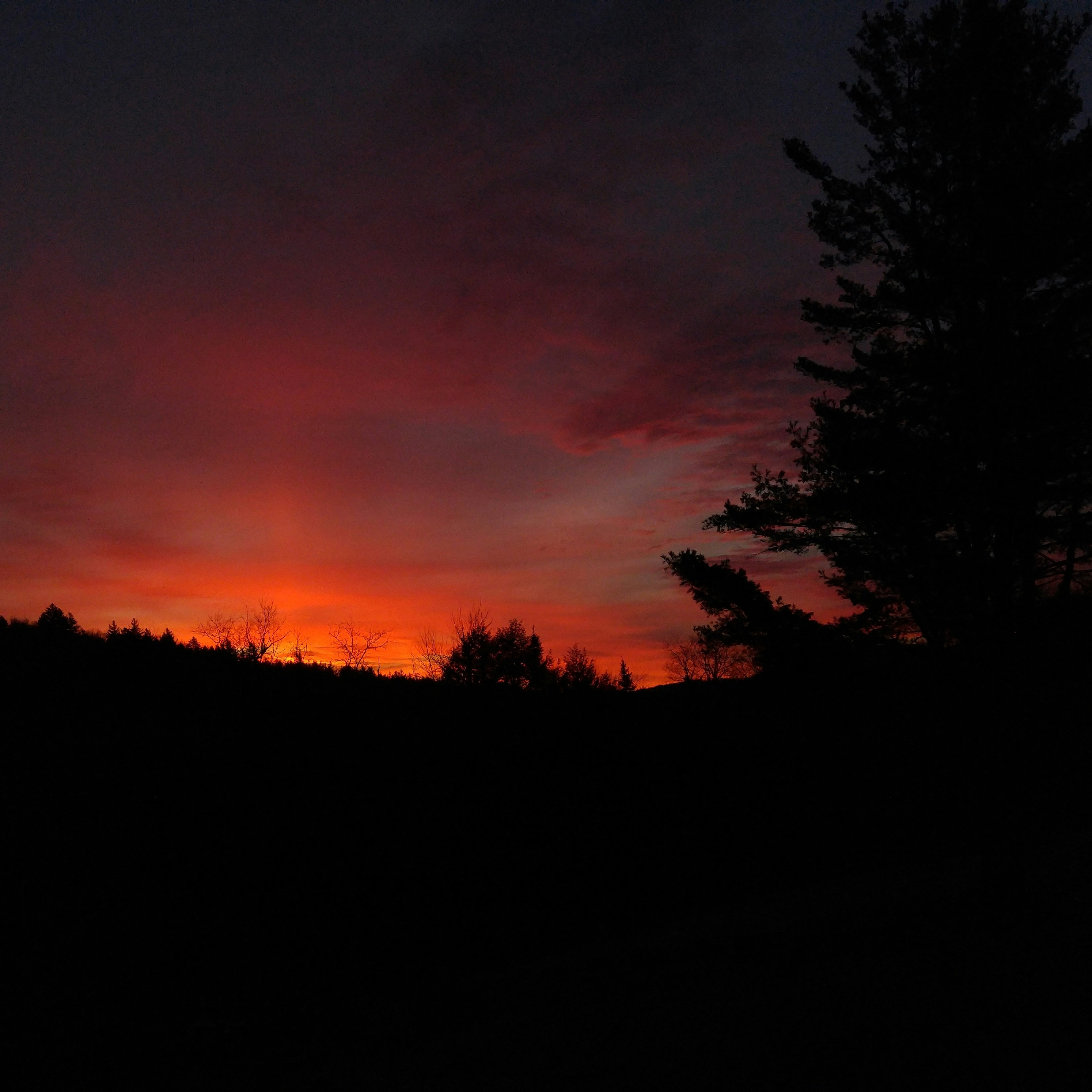 Free Unsplash photo from Rowan Crawford