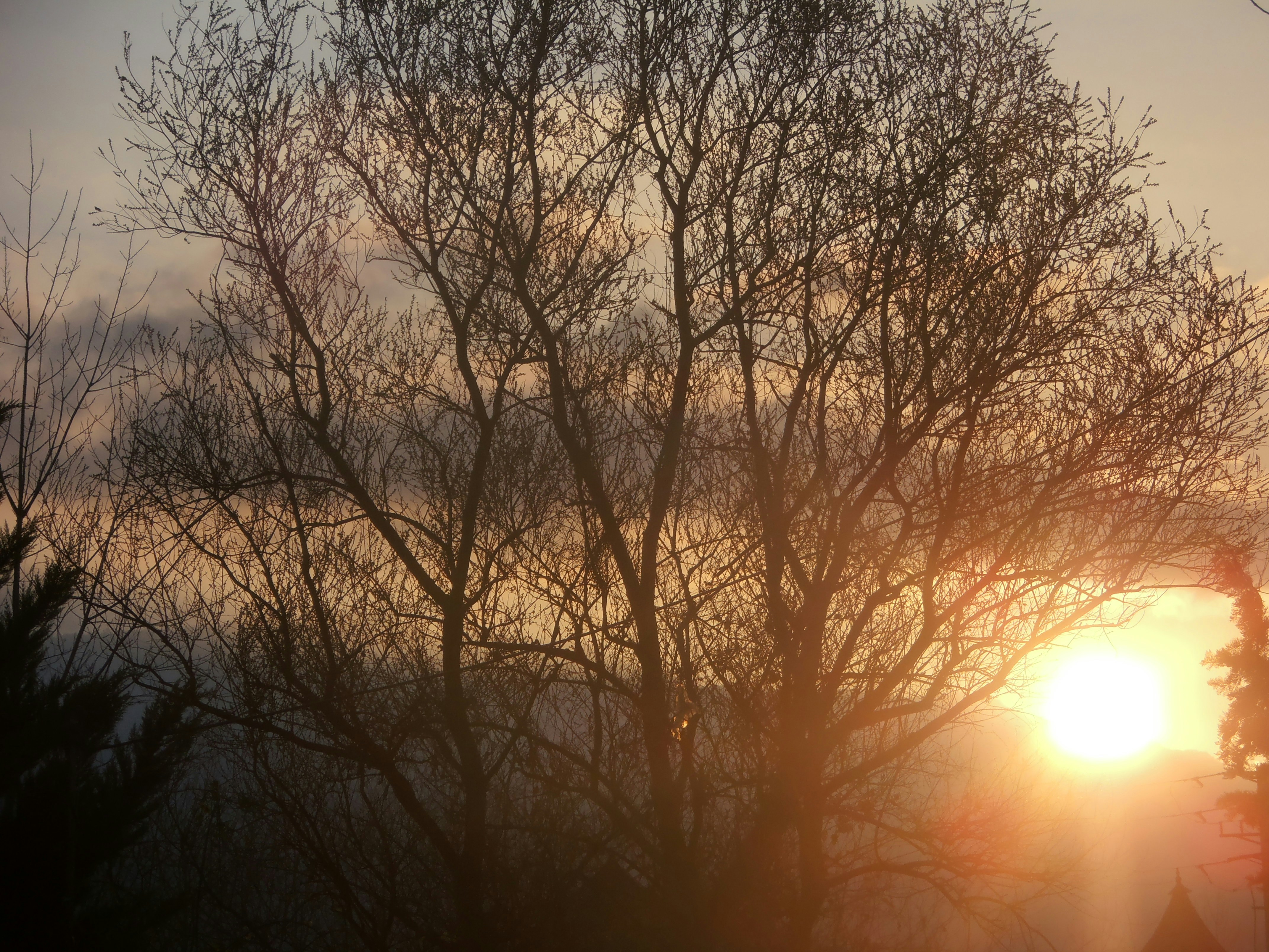 Free Unsplash photo from Amir Mobasheri