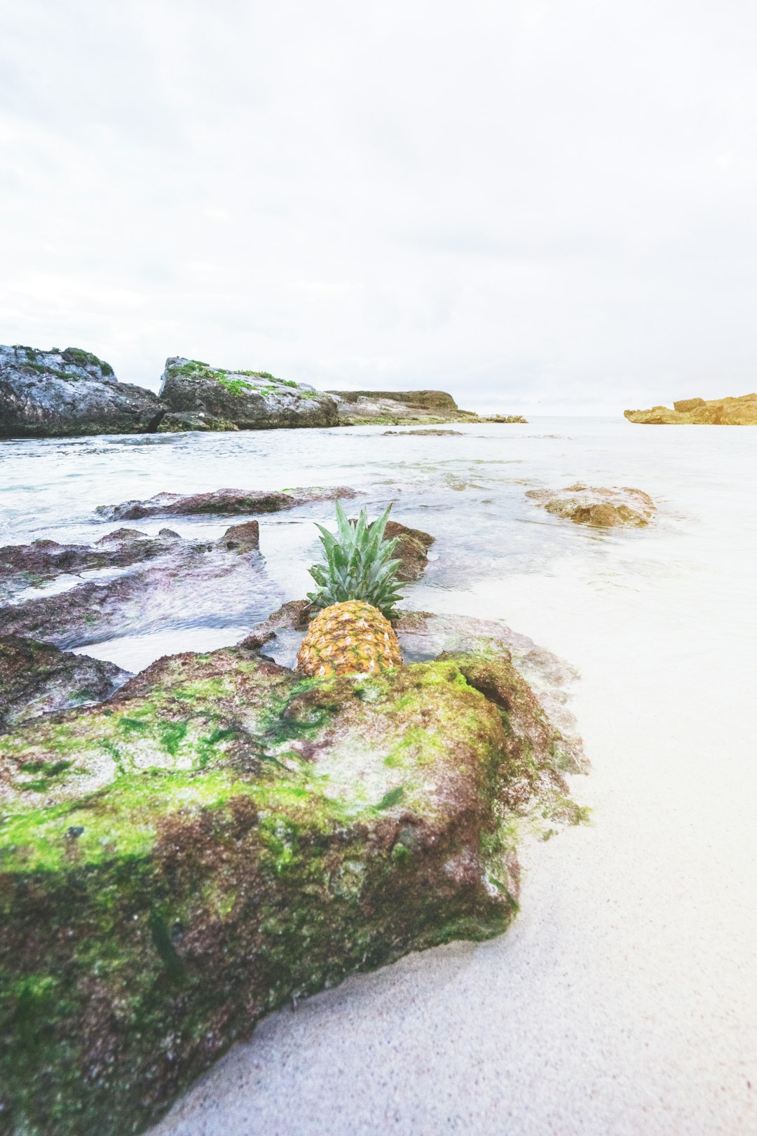 Beach photo spot Grand Sirenis Riviera Maya Resort Cozumel