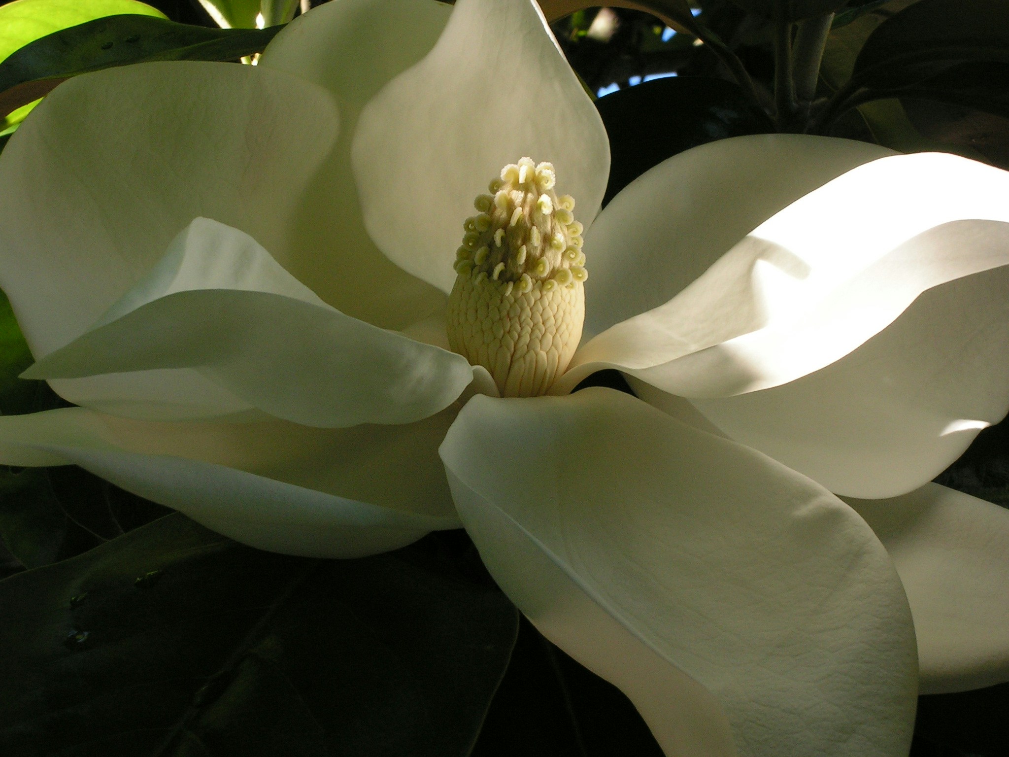 Free Unsplash photo from John Hugg