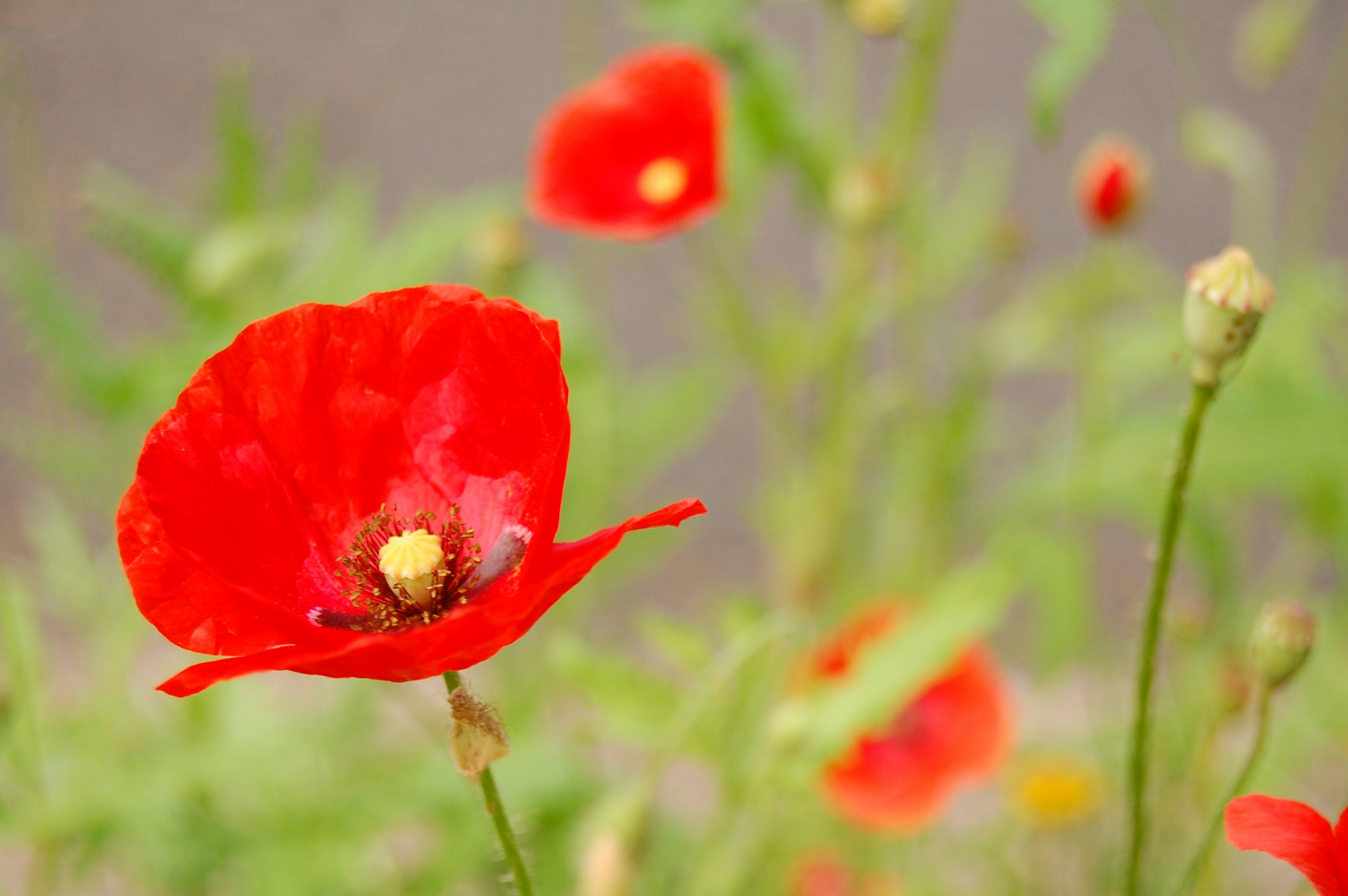 Free Unsplash photo from John Hugg