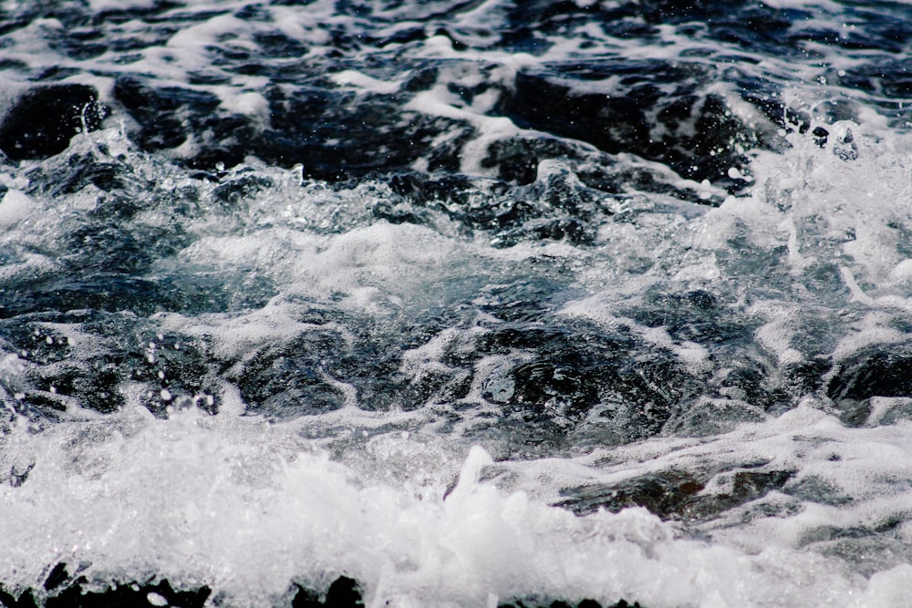 closeup photograph of water ripple