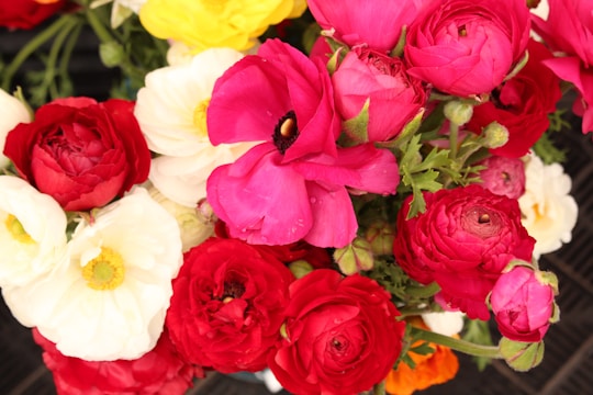 A vibrant bouquet of red, blue, and white flowers artfully arranged.