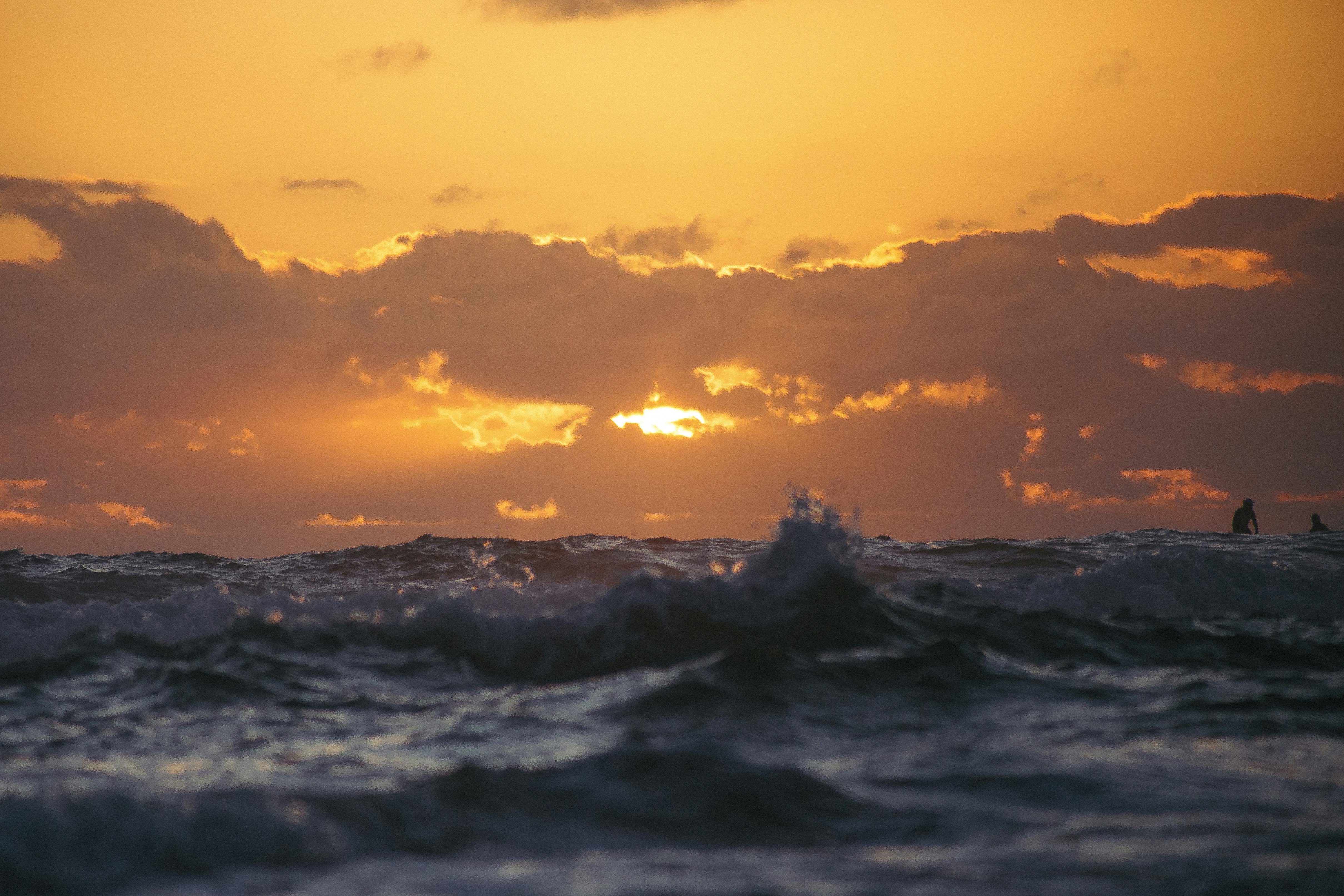 Free Unsplash photo from Samuel Scrimshaw