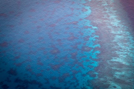 Aerial view of a vibrant coral reef under clear blue water, showing diverse textures and formations within the ocean.