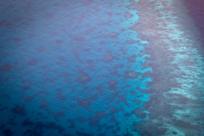 A serene aerial view of a vibrant coral reef teeming with marine life beneath clear blue ocean waters.
