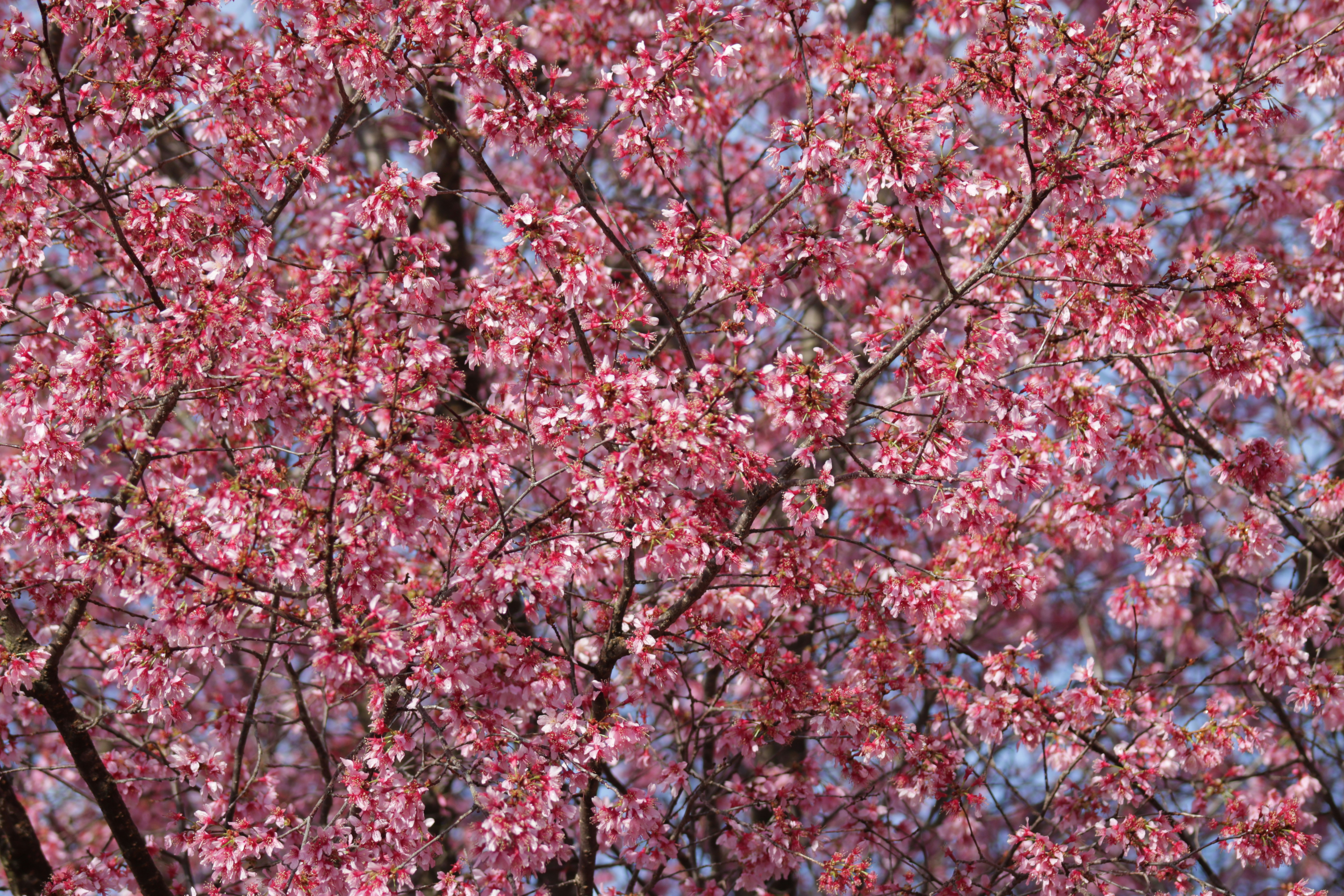 Free Unsplash photo from Joe Legeckis