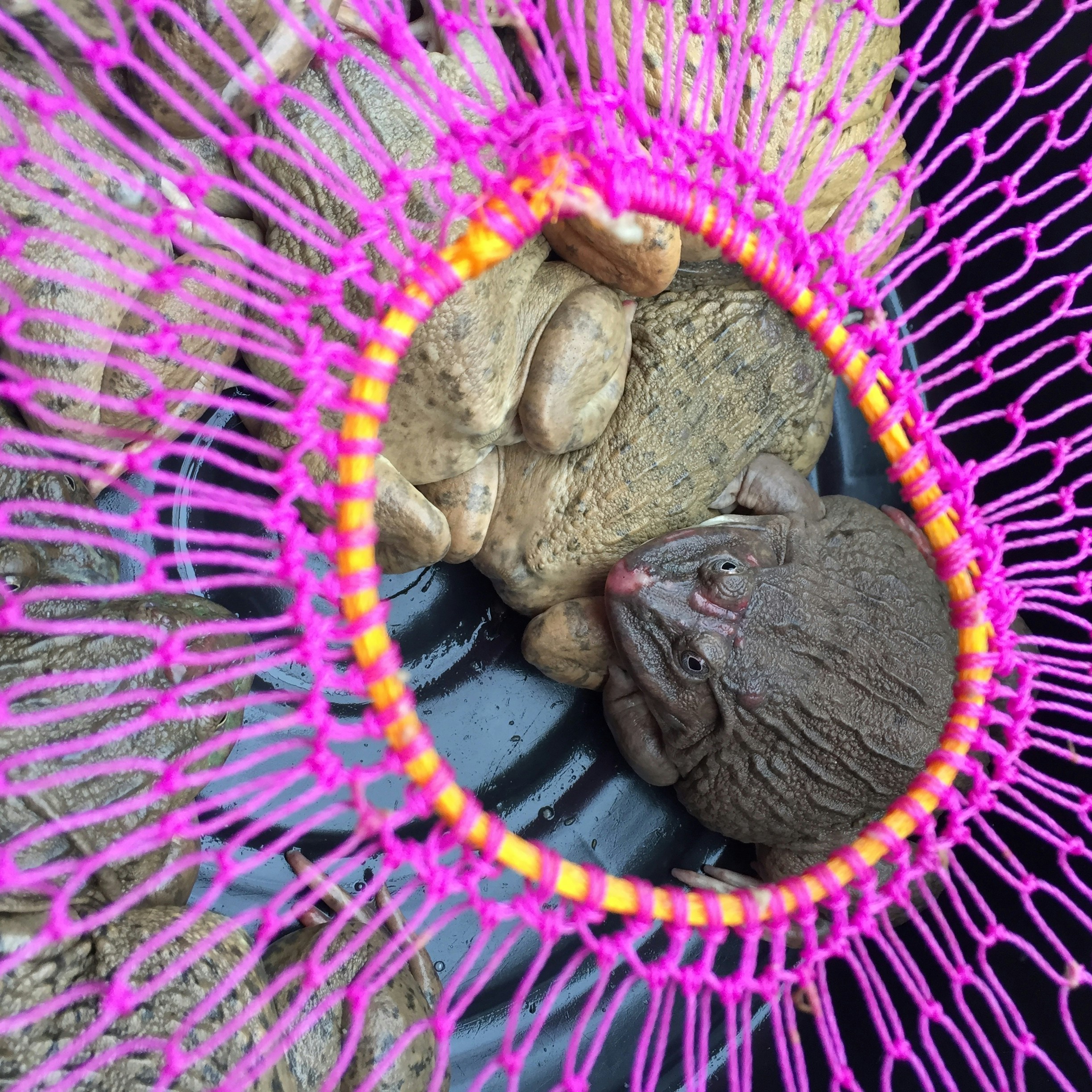 Free Unsplash photo from Gerit Lippert