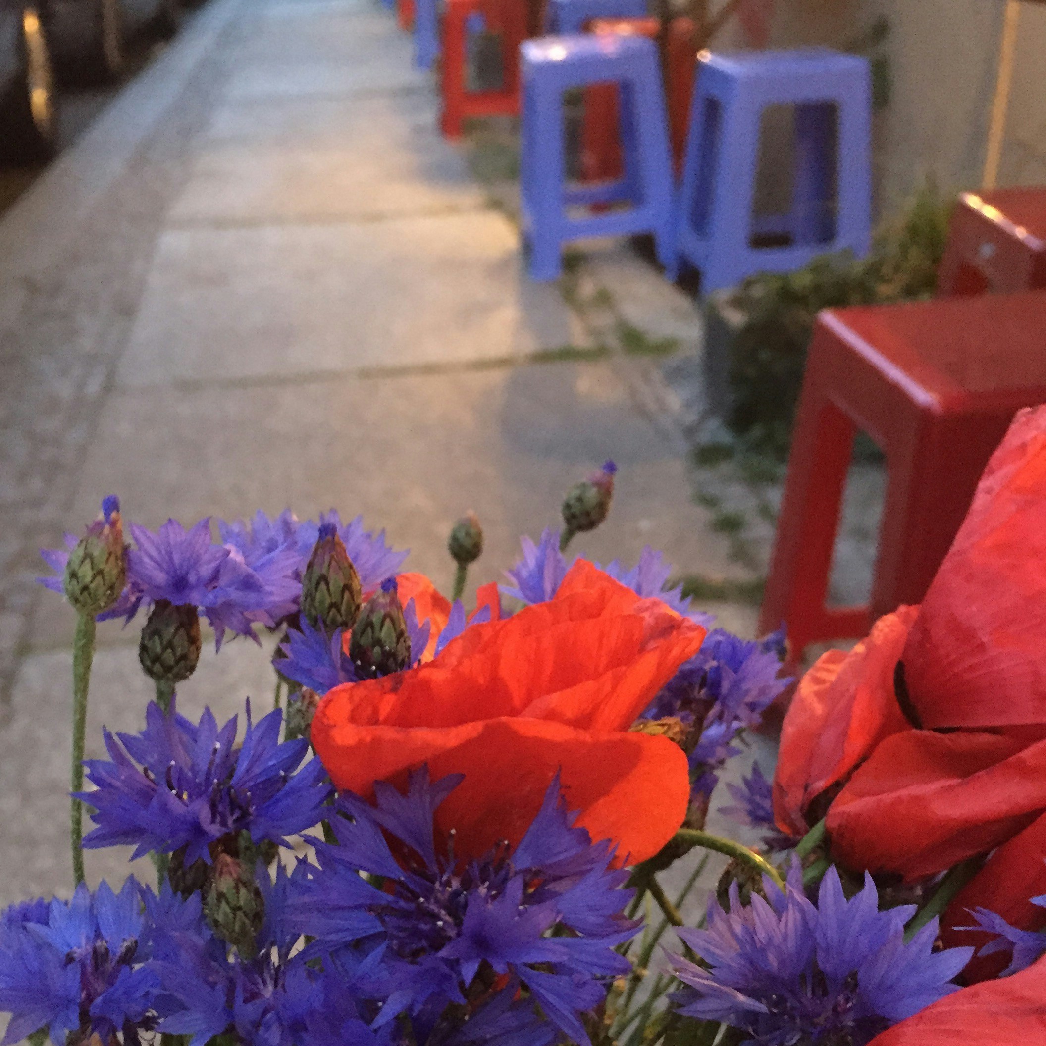 Free Unsplash photo from Gerit Lippert