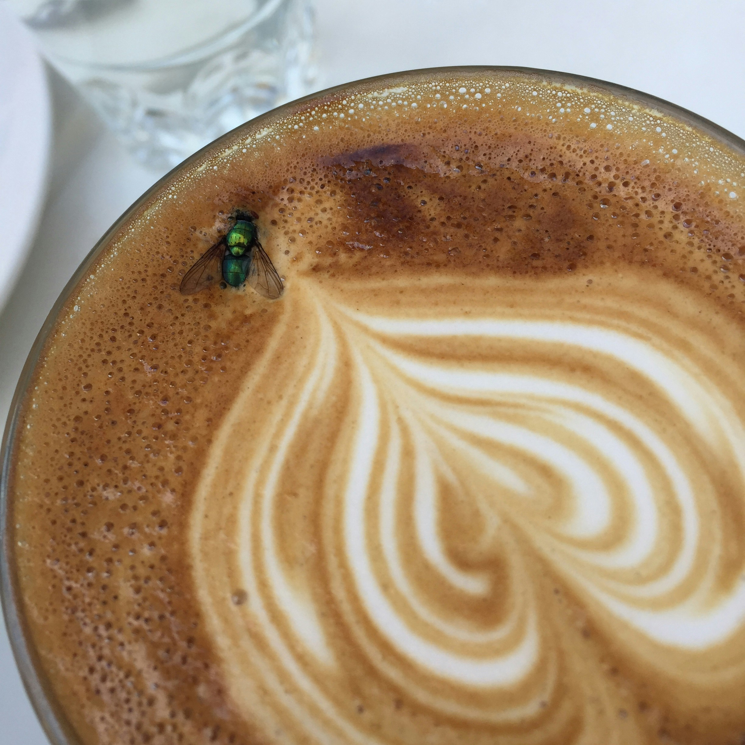 Free Unsplash photo from Gerit Lippert